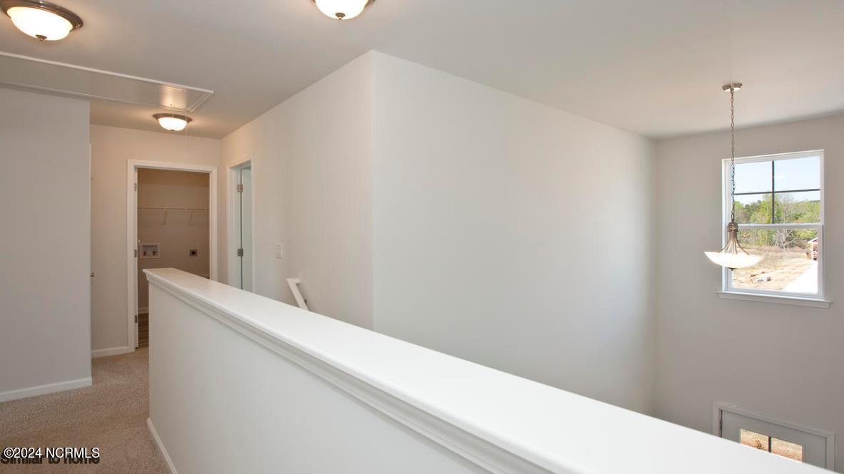 100531851 | Photo 28