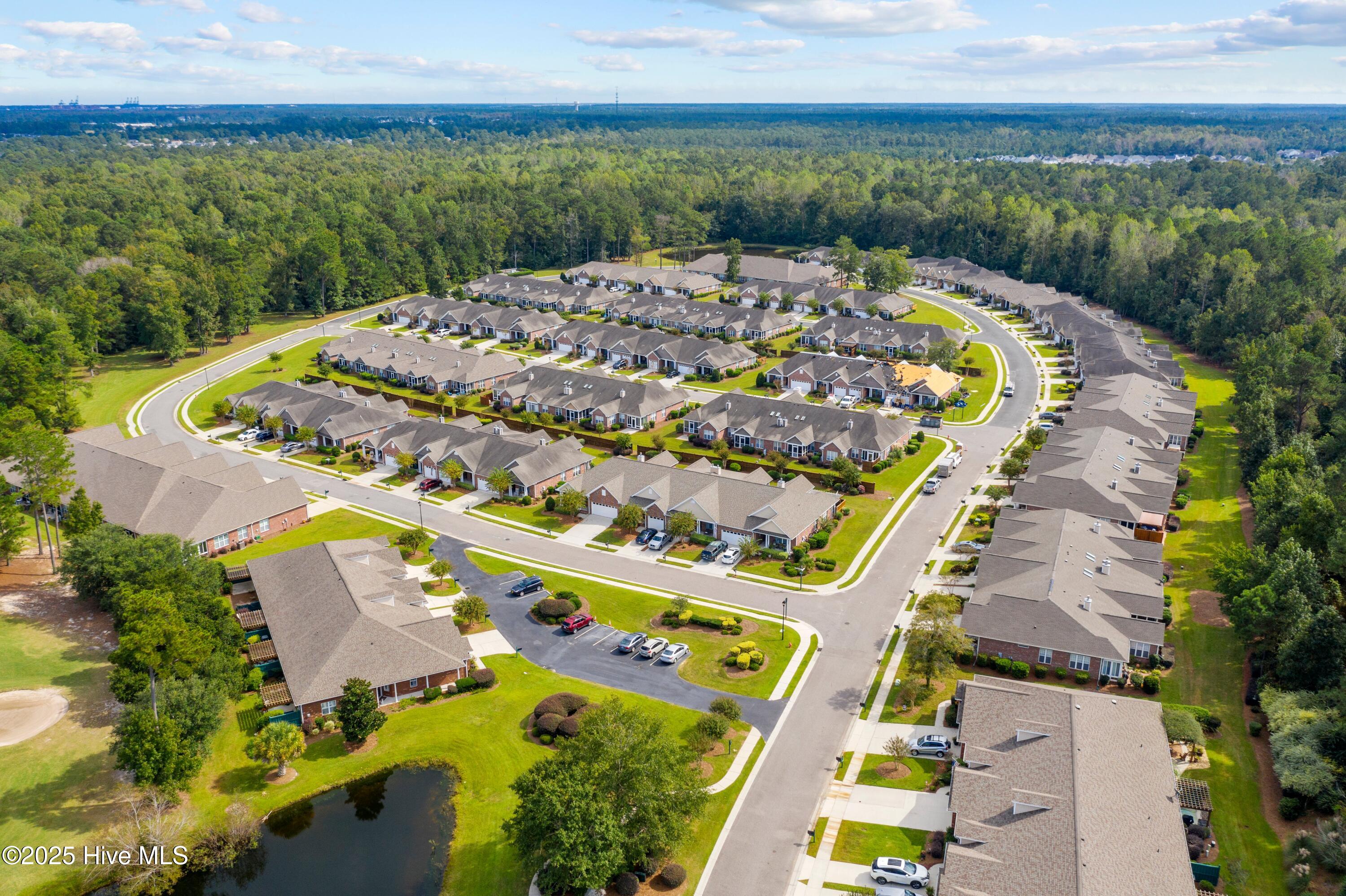 100528039 | Photo 21