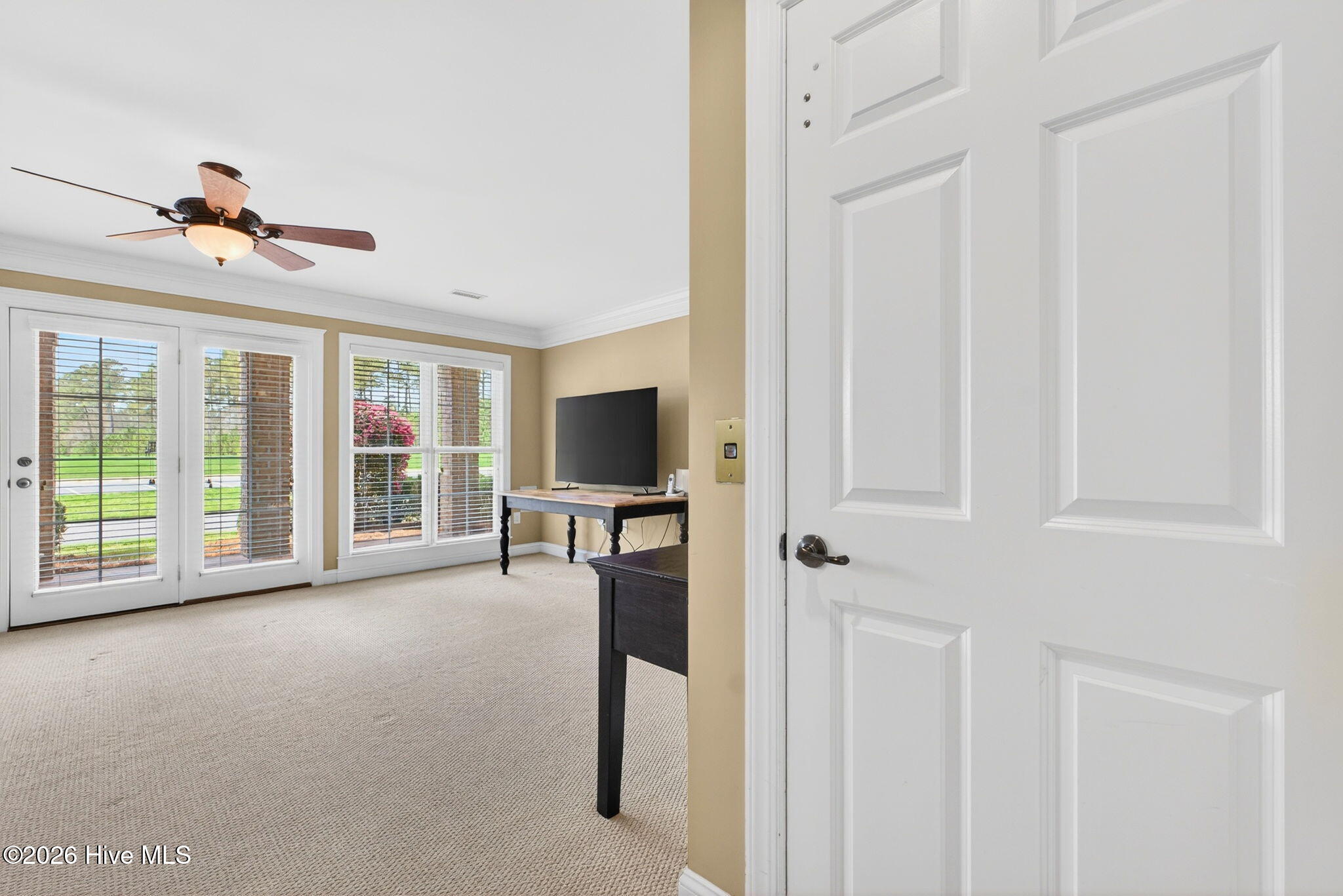 100561397 | Photo 39