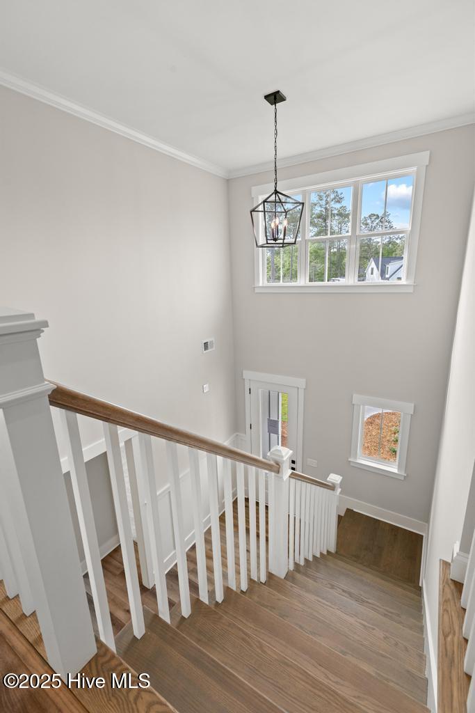 100535859 | Photo 25