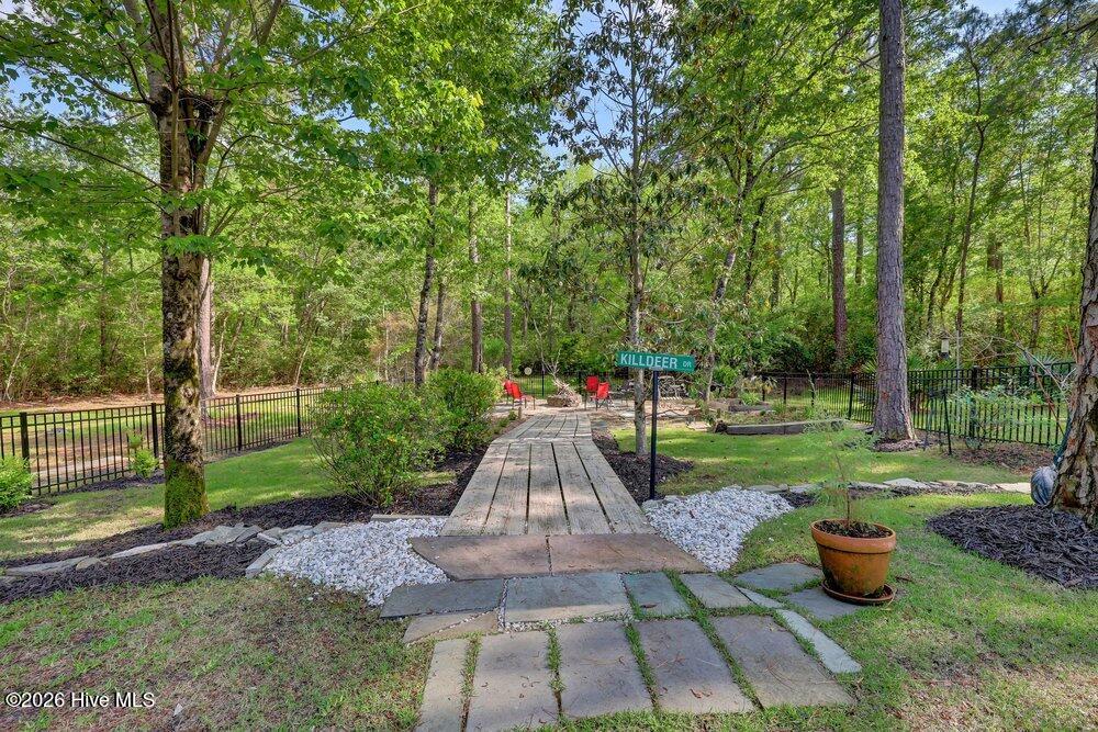 100568961 | Photo 50