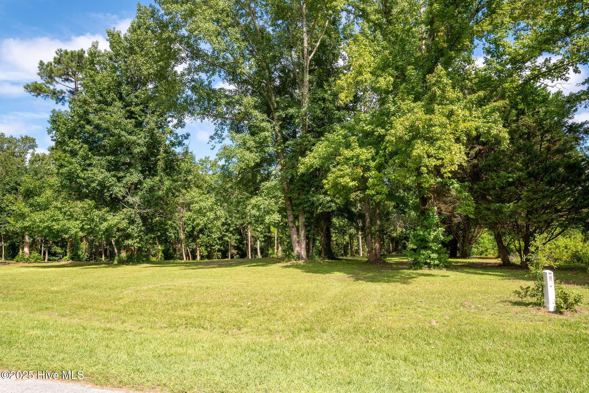 100524642 | Photo 15