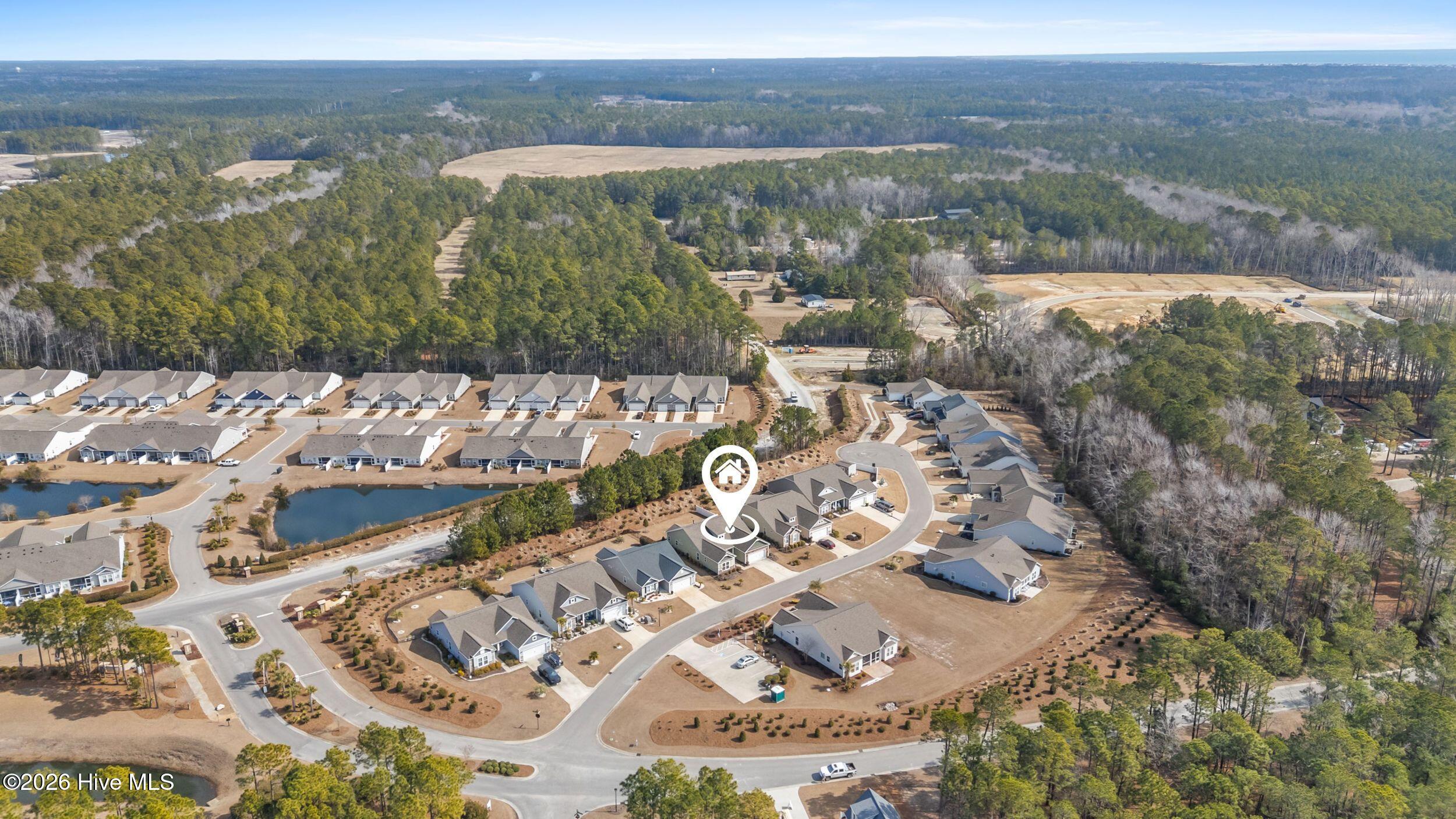 100553871 | Photo 59