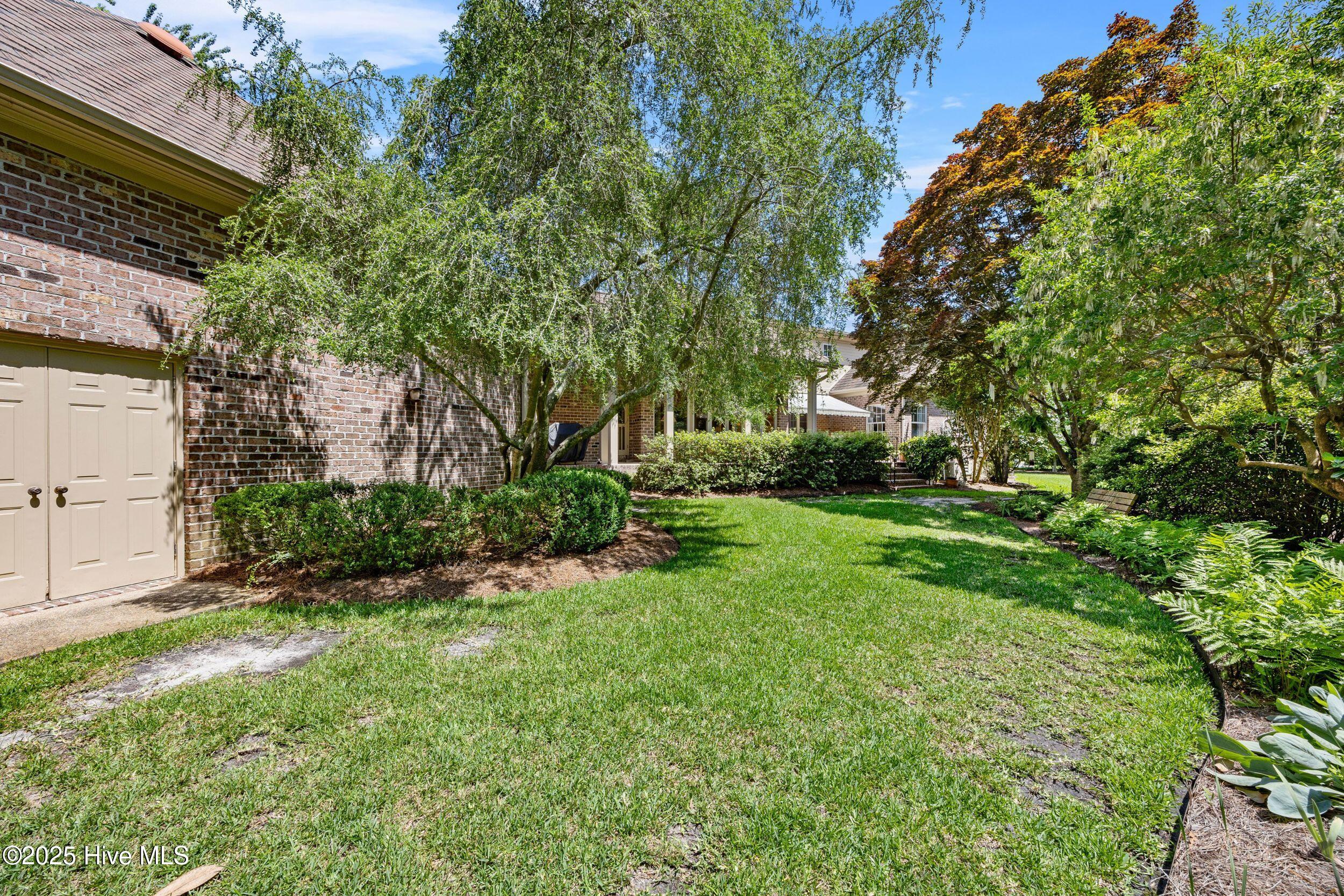 100516126 | Photo 56