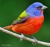 100554424 | Photo 30