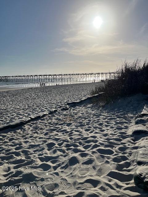 100557908 | Photo 18