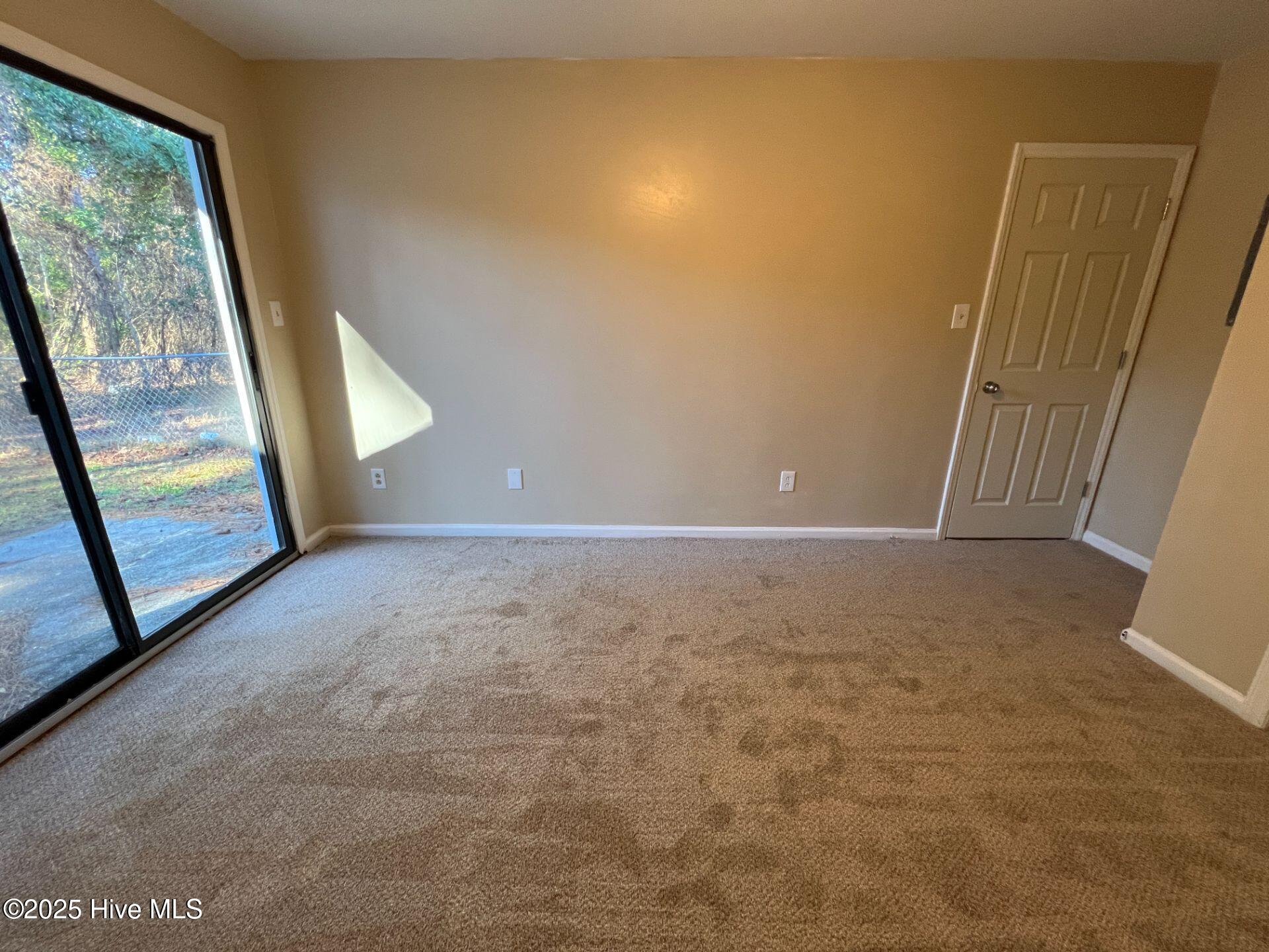 100553160 | Photo 14