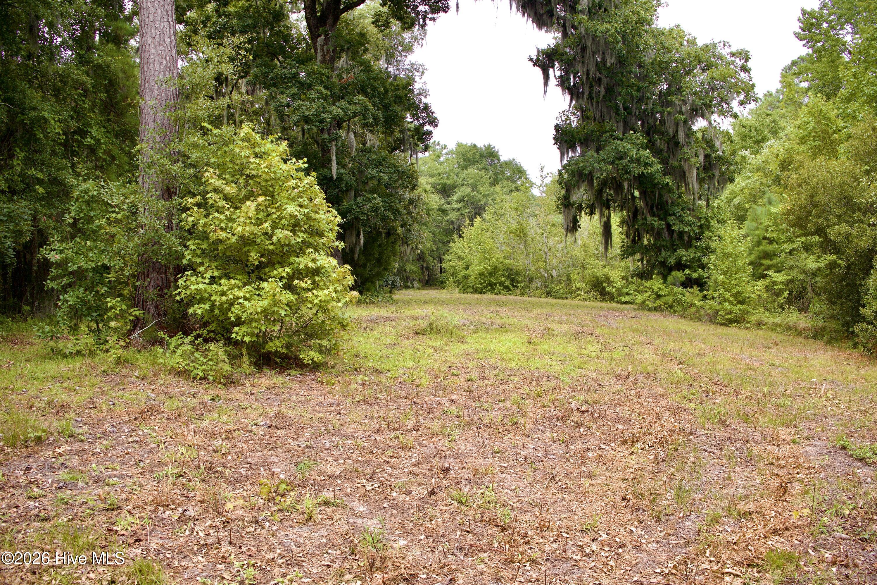 385 Sand Ridge Road,New Bern