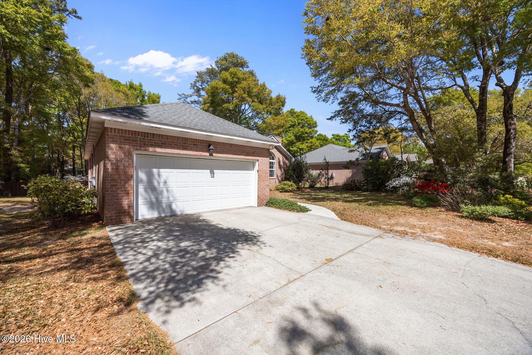 100565188 | Photo 43