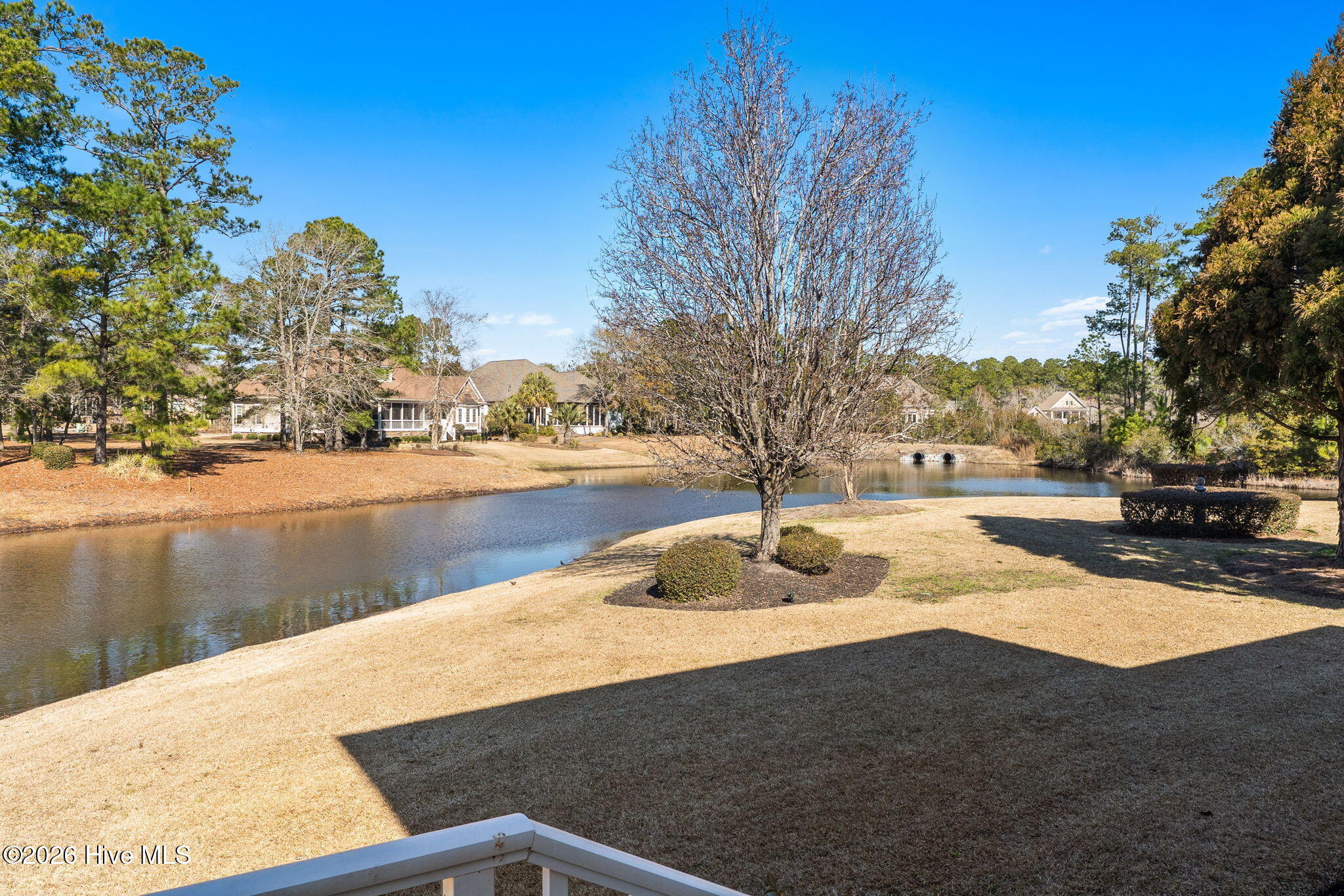 100559683 | Photo 55