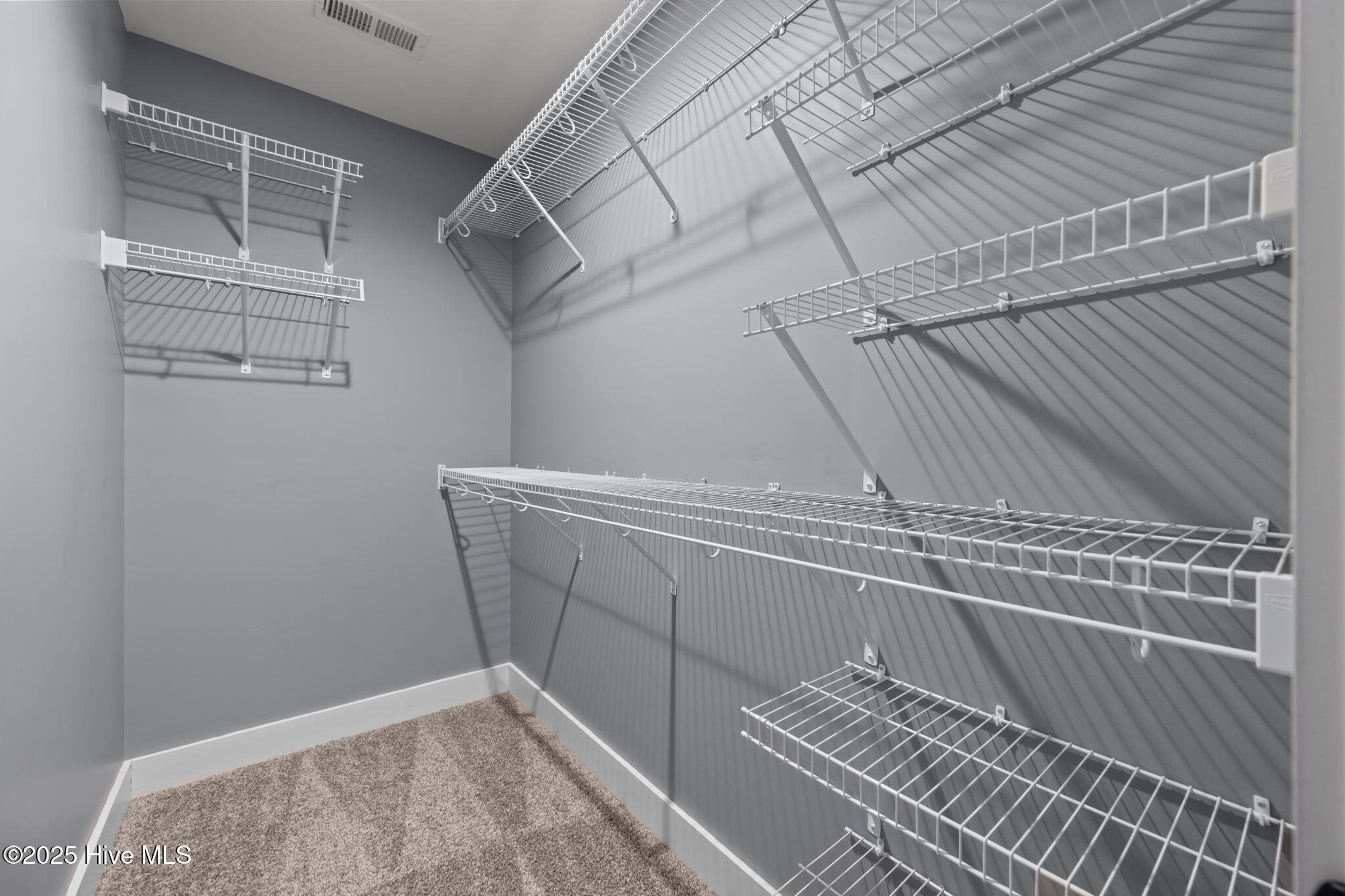 100544347 | Photo 21