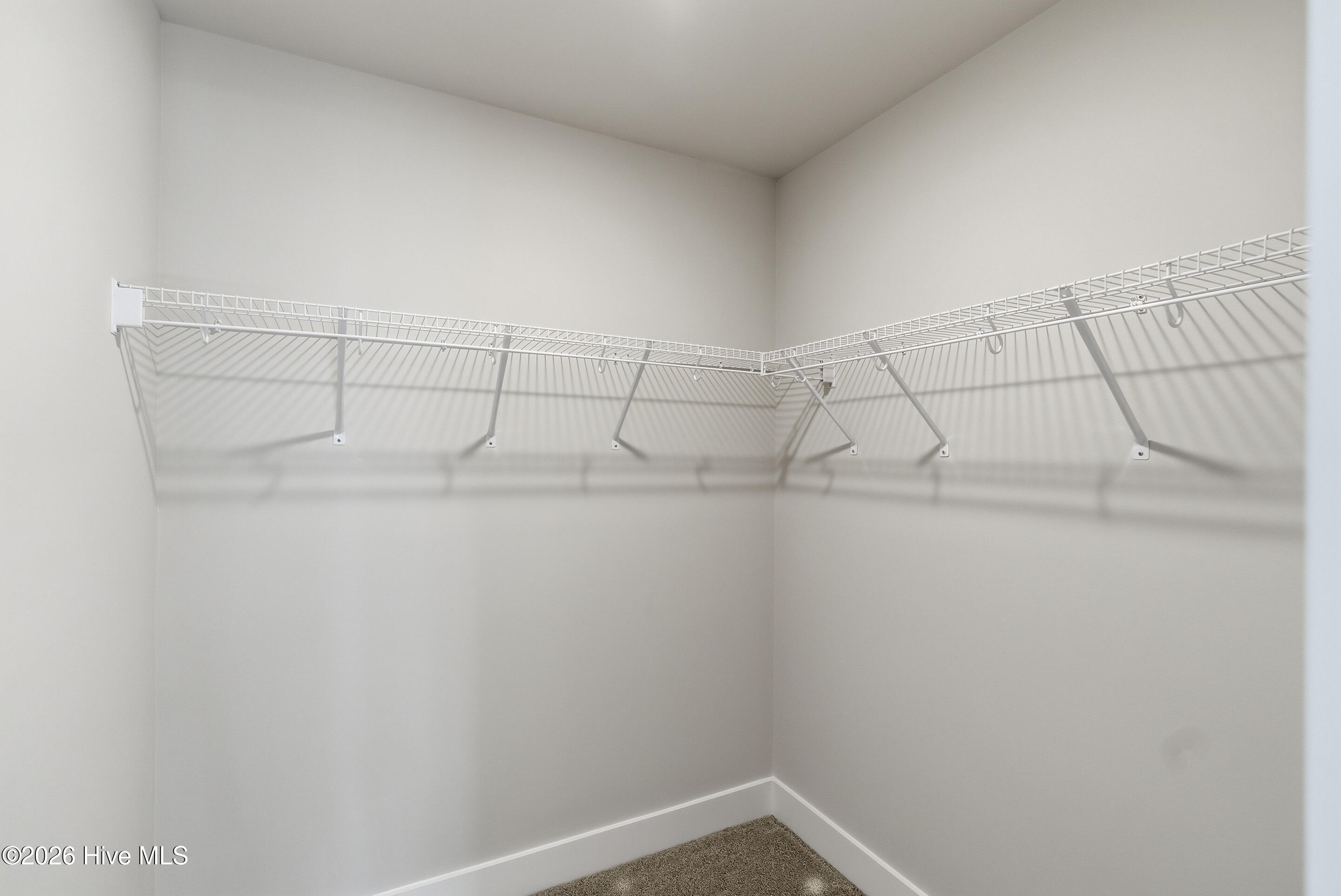 100547597 | Photo 27