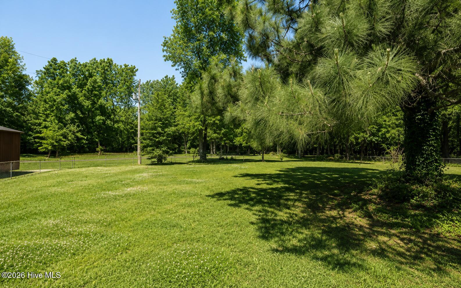 Backyard Area