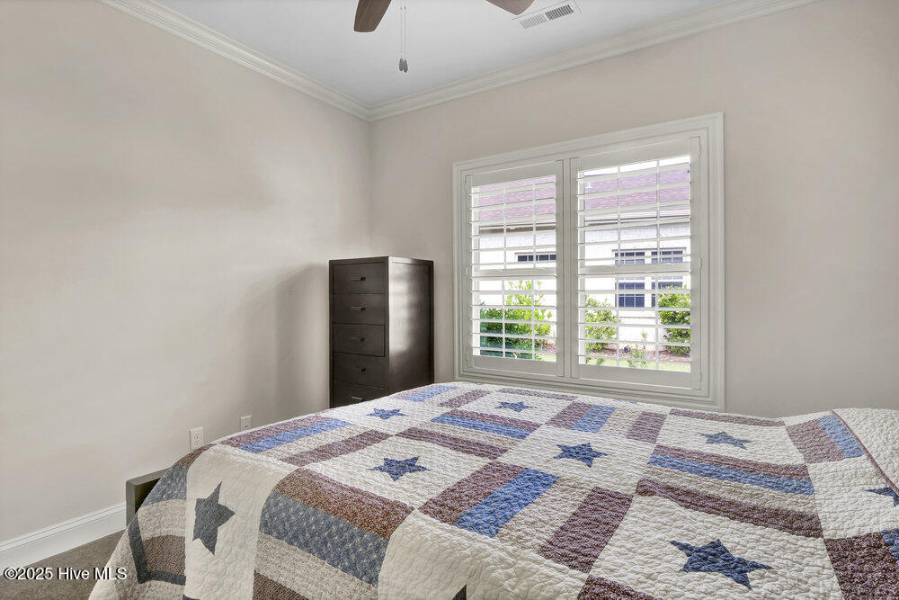 100507086 | Photo 24