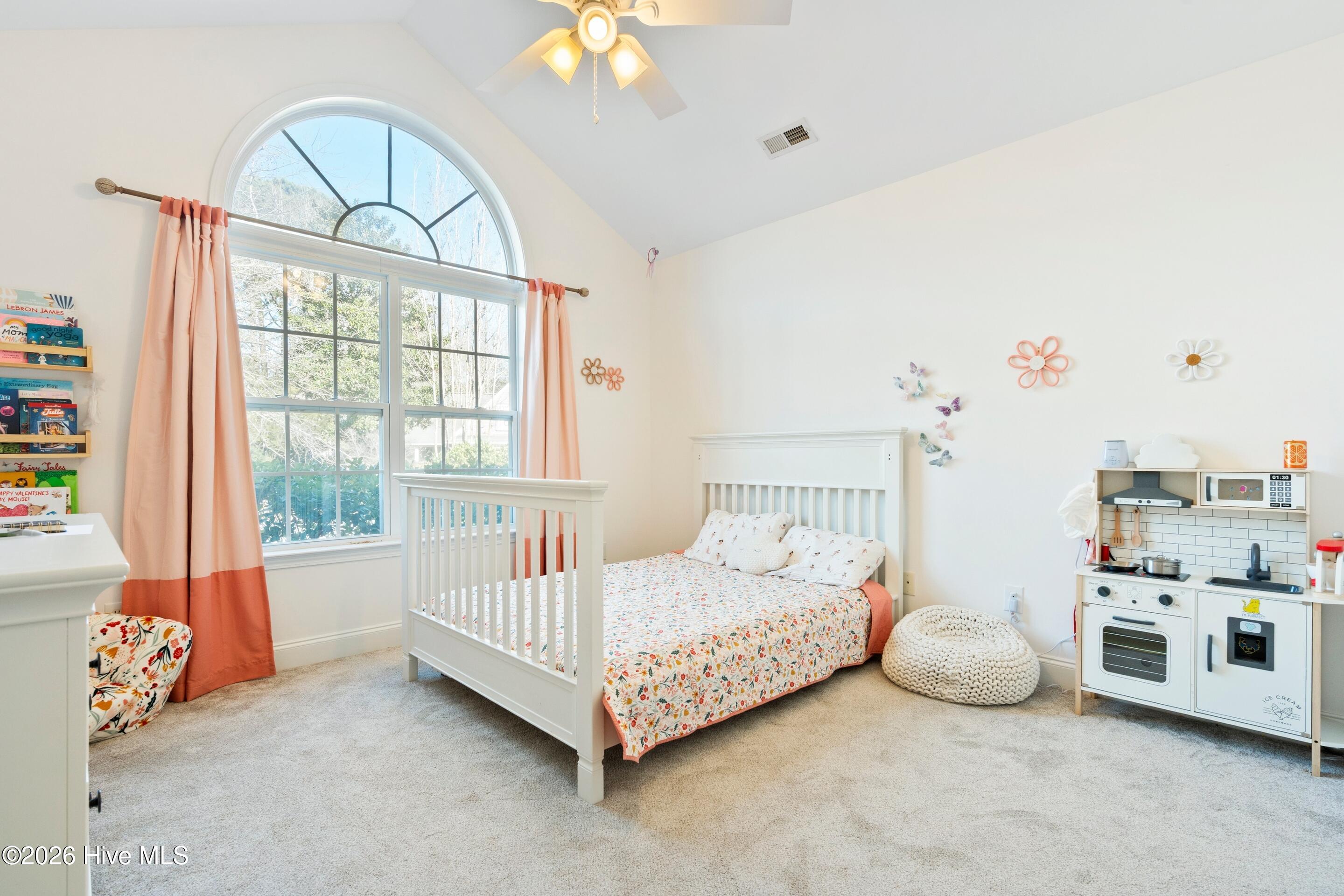 100549655 | Photo 34