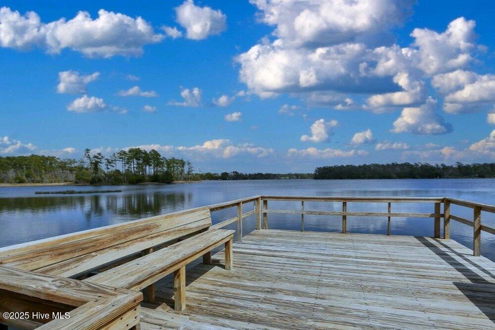 100513085 | Photo 81