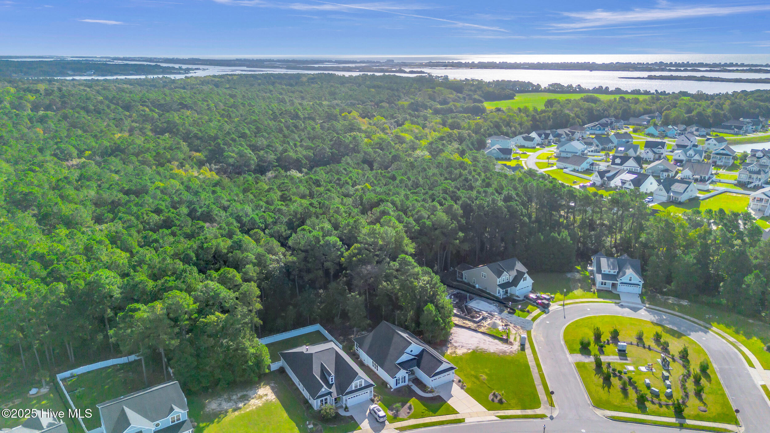 100535117 | Photo 58