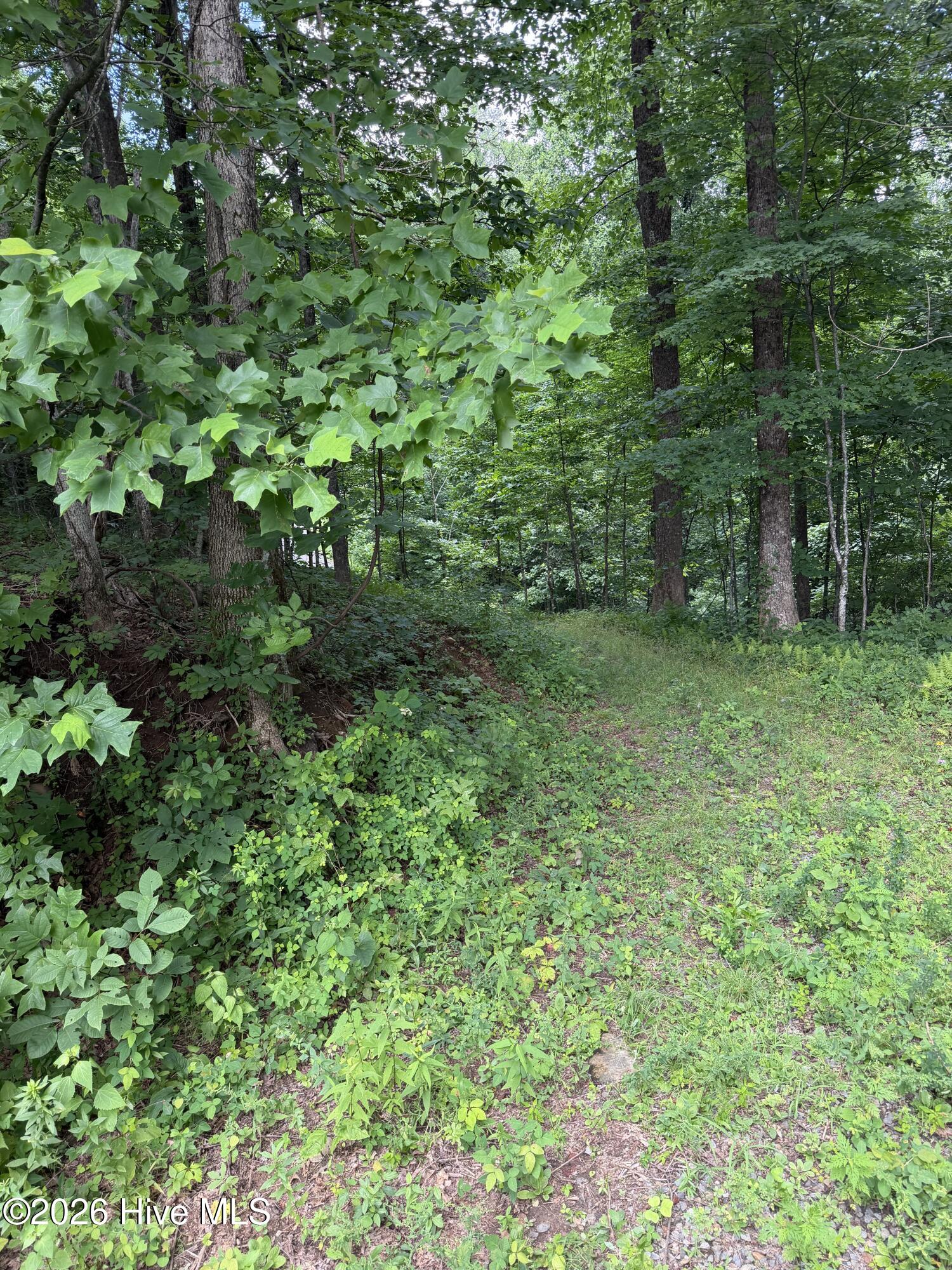 Exterior photo of Lot 4 Outlook Road, Murphy, NC 28906. MLS: 100589828