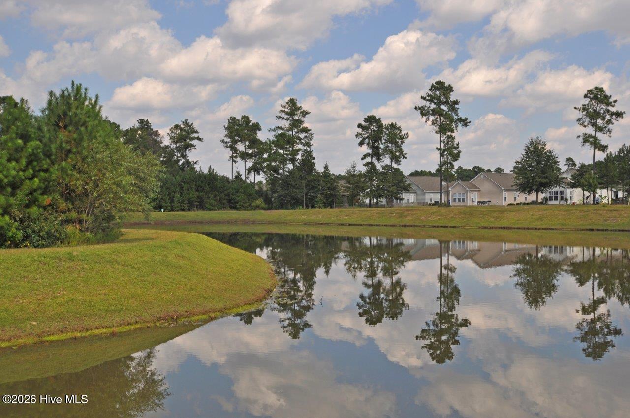 100553723 | Photo 46