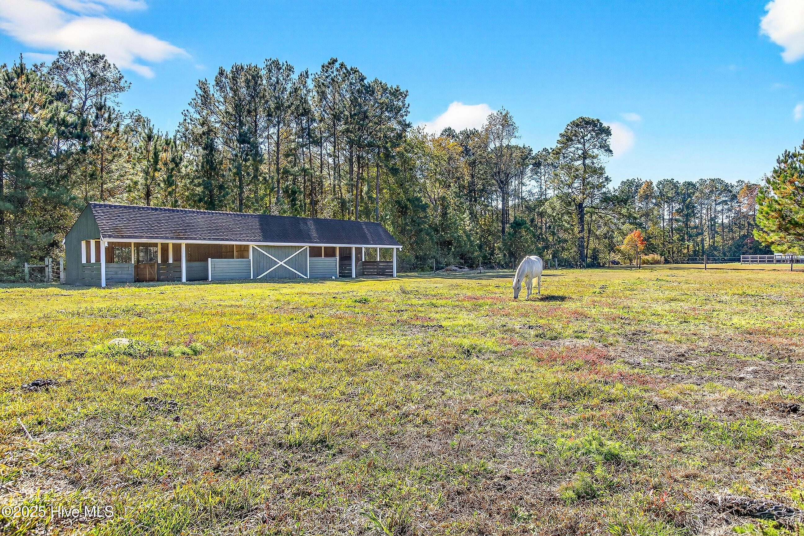 100540143 | Photo 43