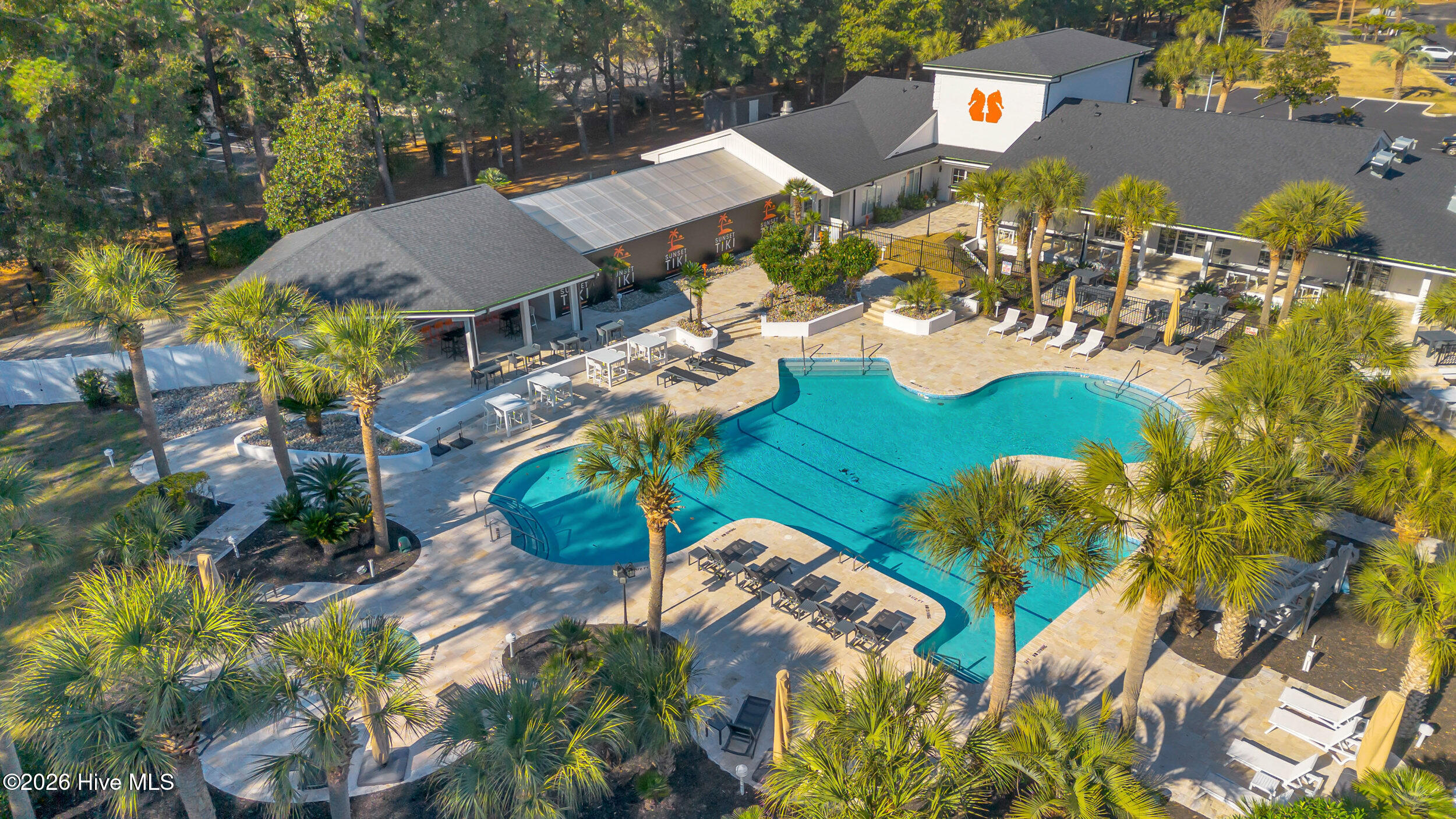 100564154 | Photo 59