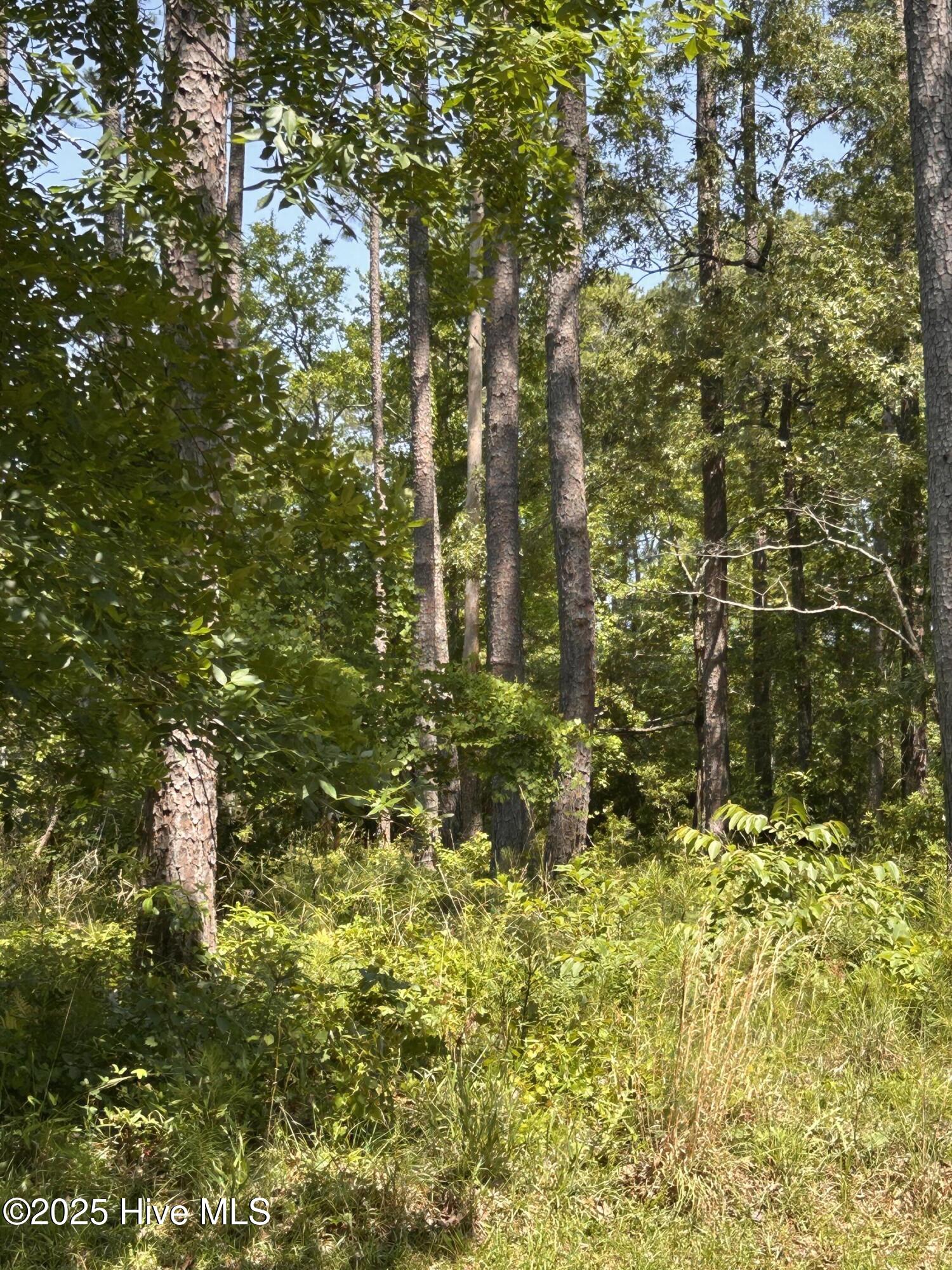 Homes for sale in Beaufort, NC | 135 Martin Creek Dr, Beaufort, NC 28516 | MLS# 100508965