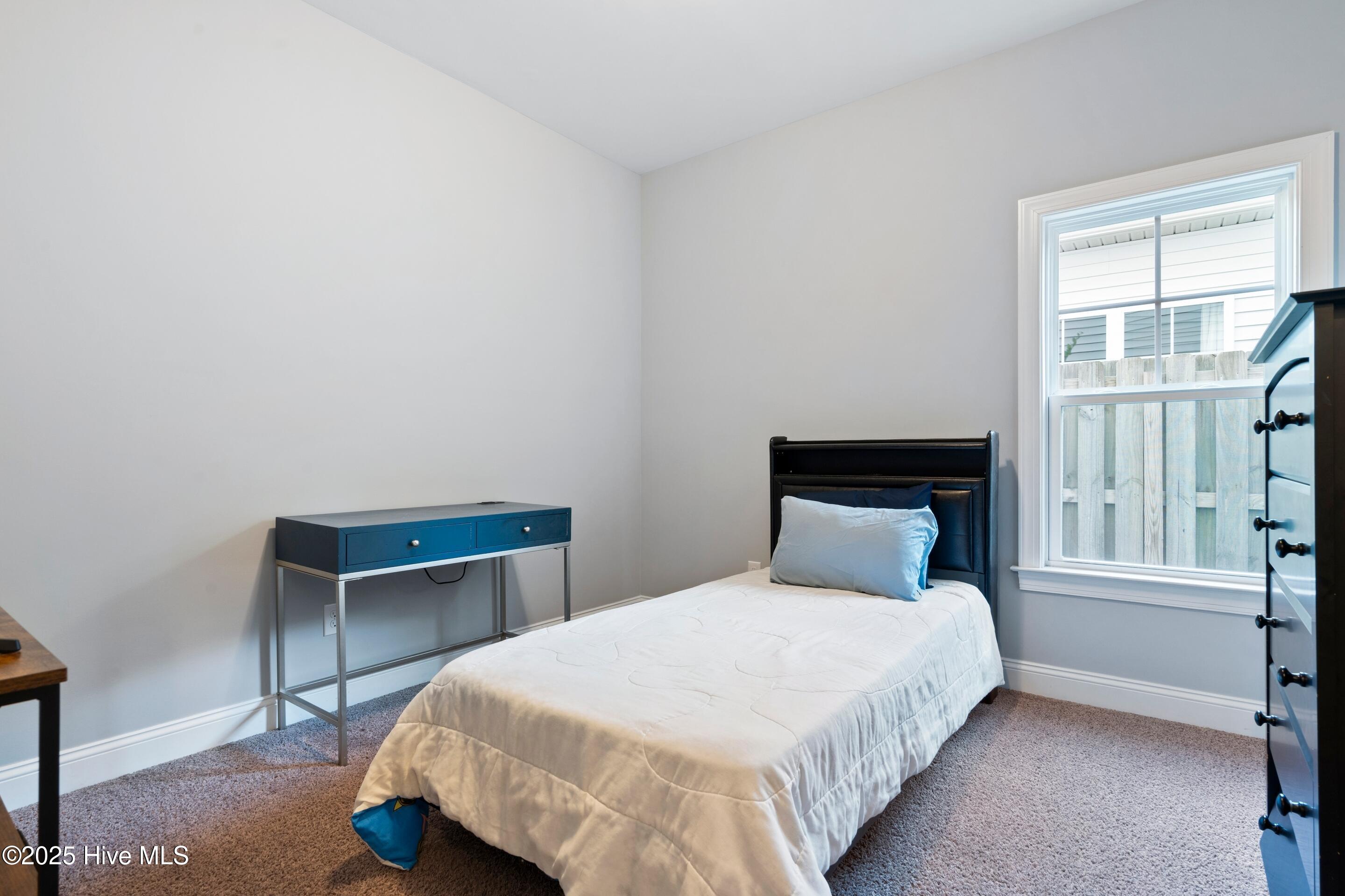 100539123 | Photo 38