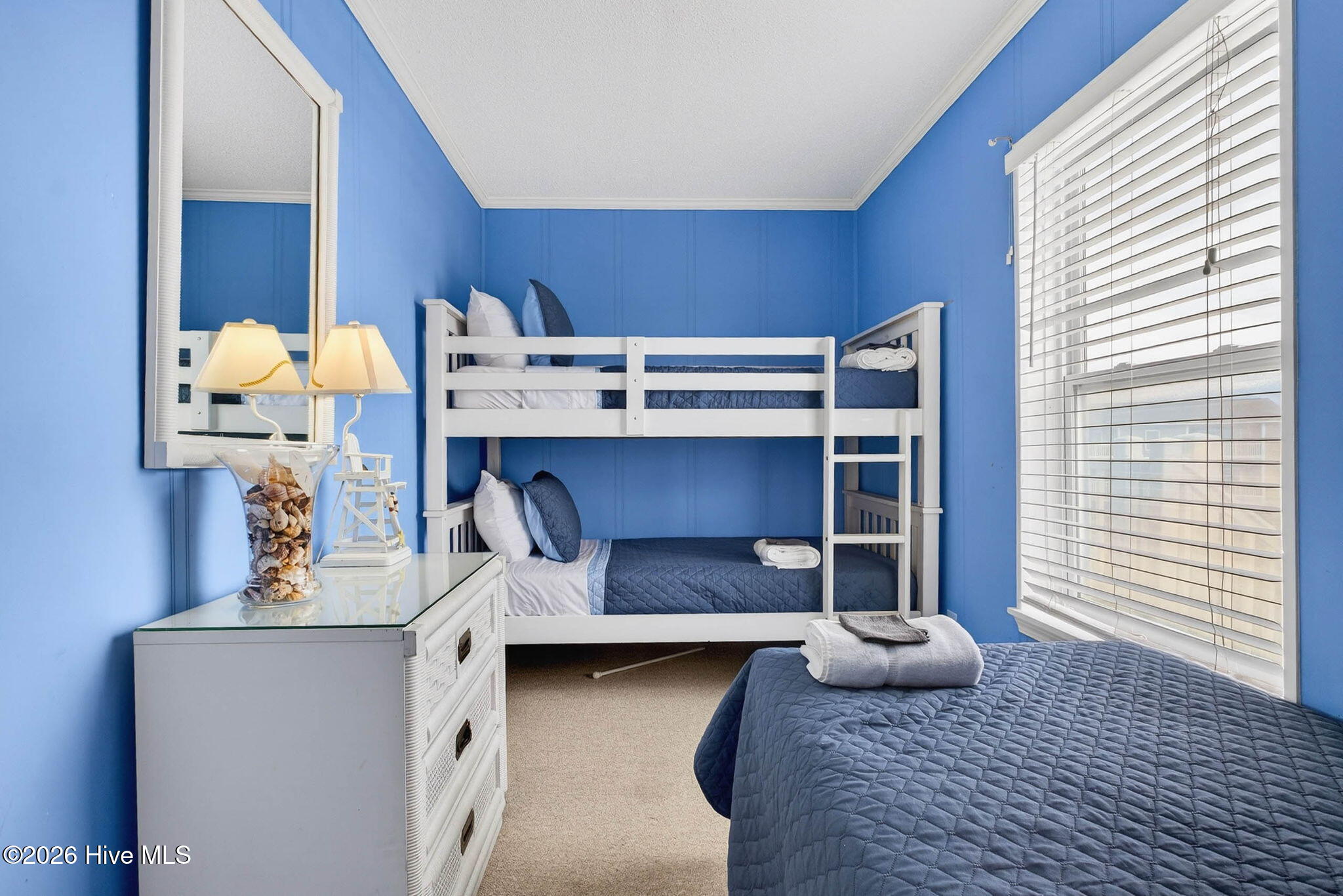 100568537 | Photo 18