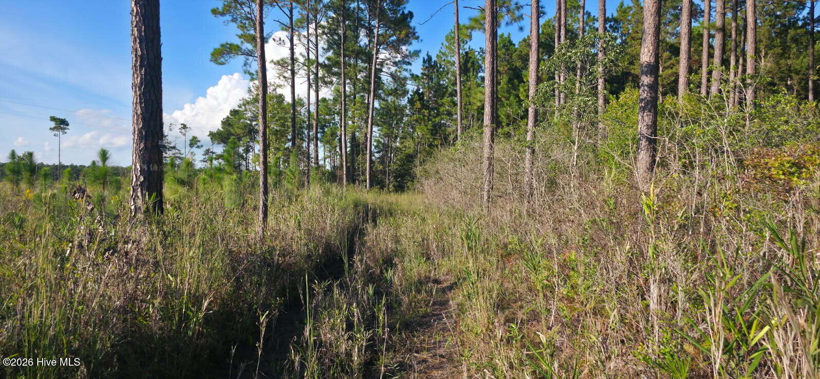 10.57 Ac Egypt Road NW, Ash, NC, 28420