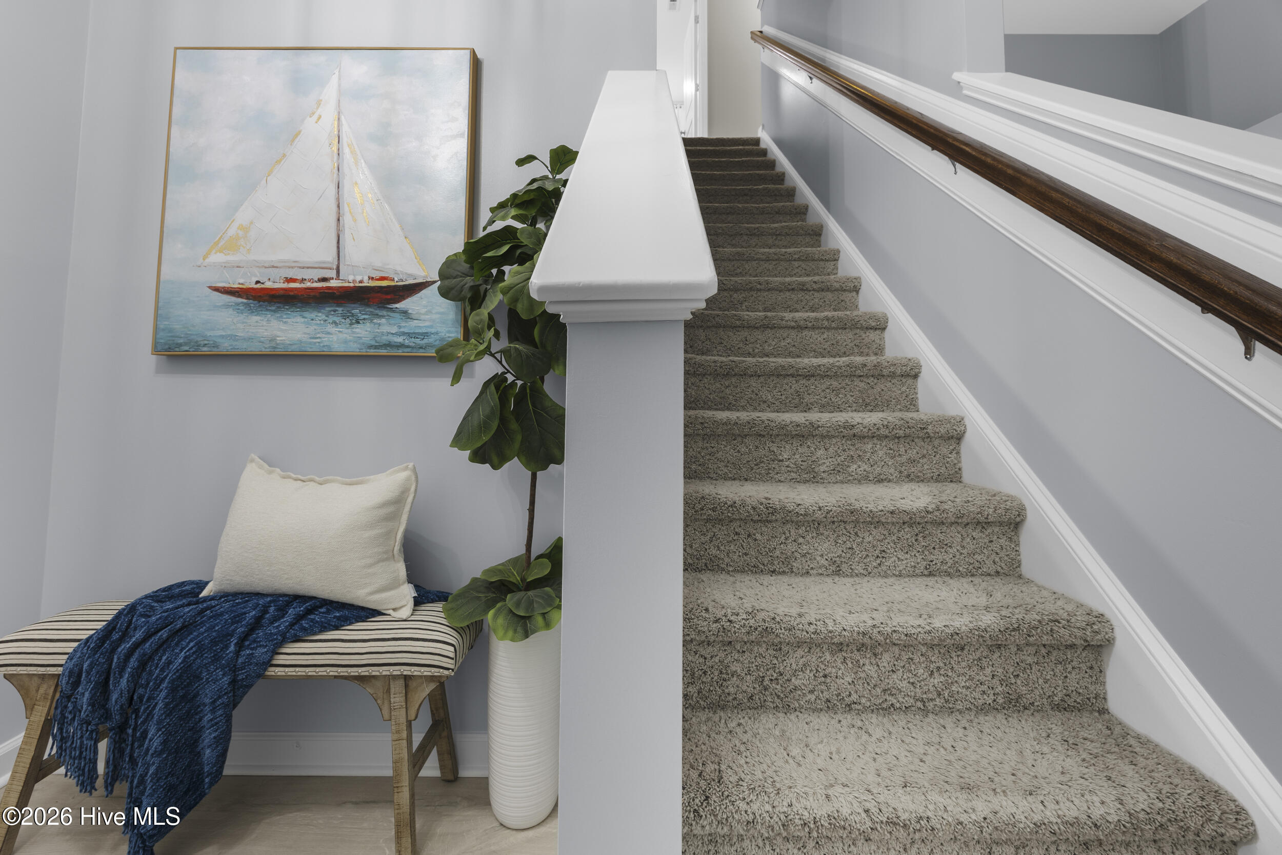 100557313 | Photo 11