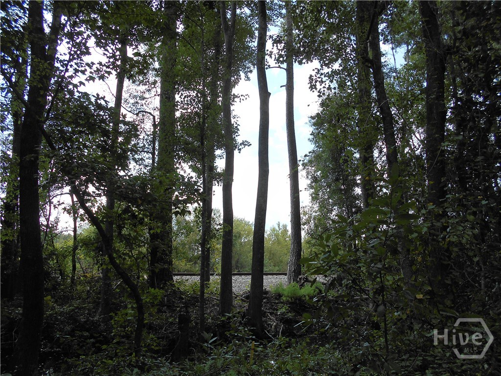 O Us-80, Pooler, Georgia, 0 ,Land,For sale,Us-80,SA337205