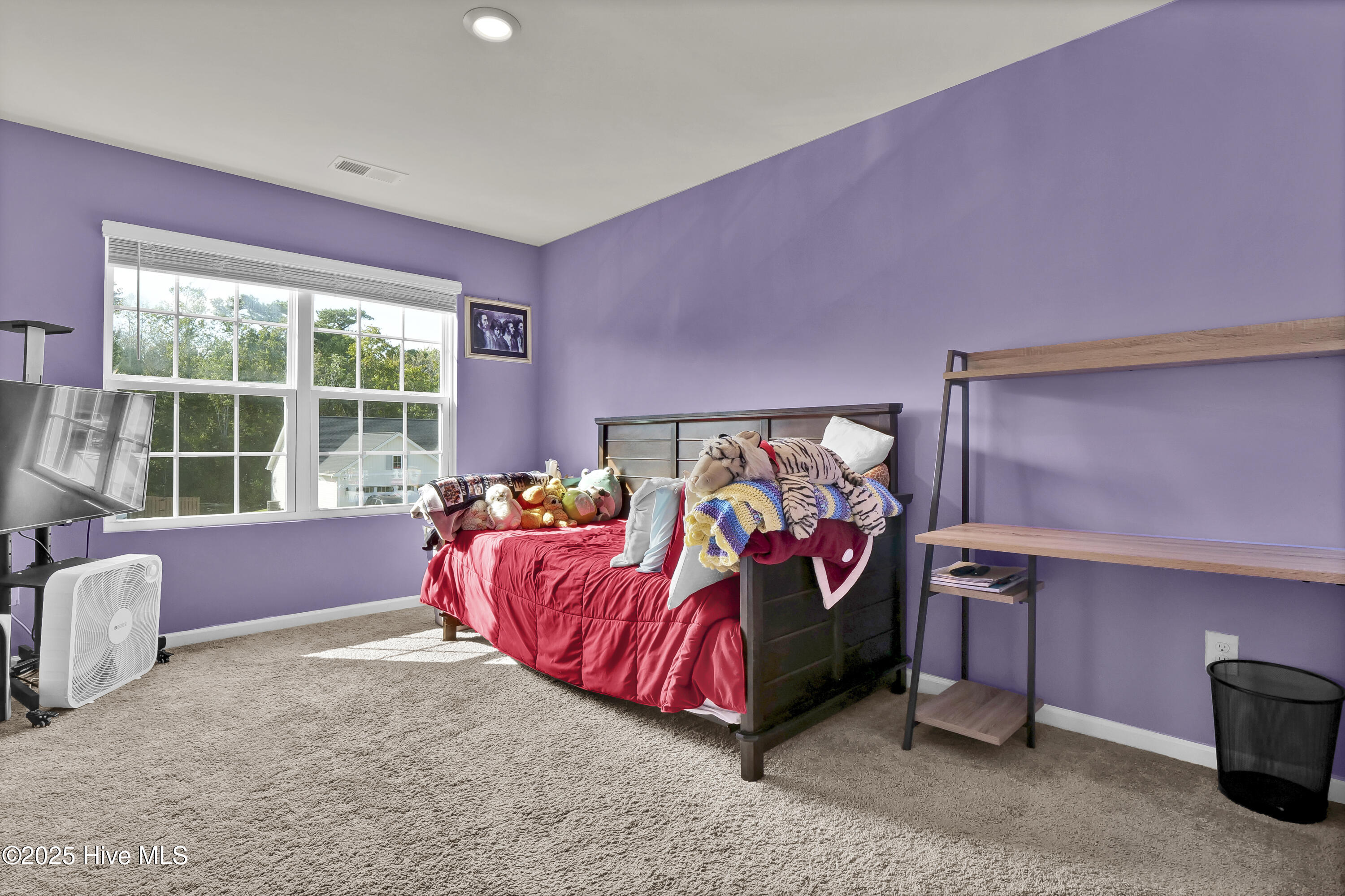 100533254 | Photo 16