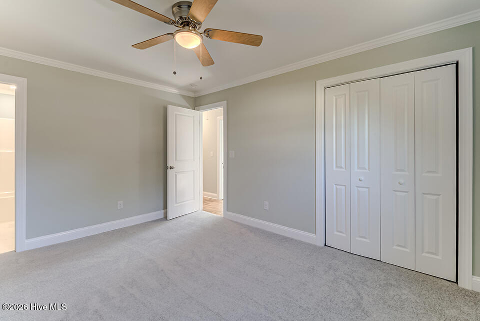 100558677 | Photo 43