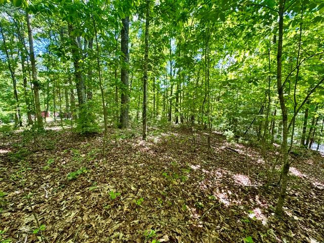 Exterior photo of LT 3 Rockridge Road, Murphy, NC 28906. MLS: 98544414