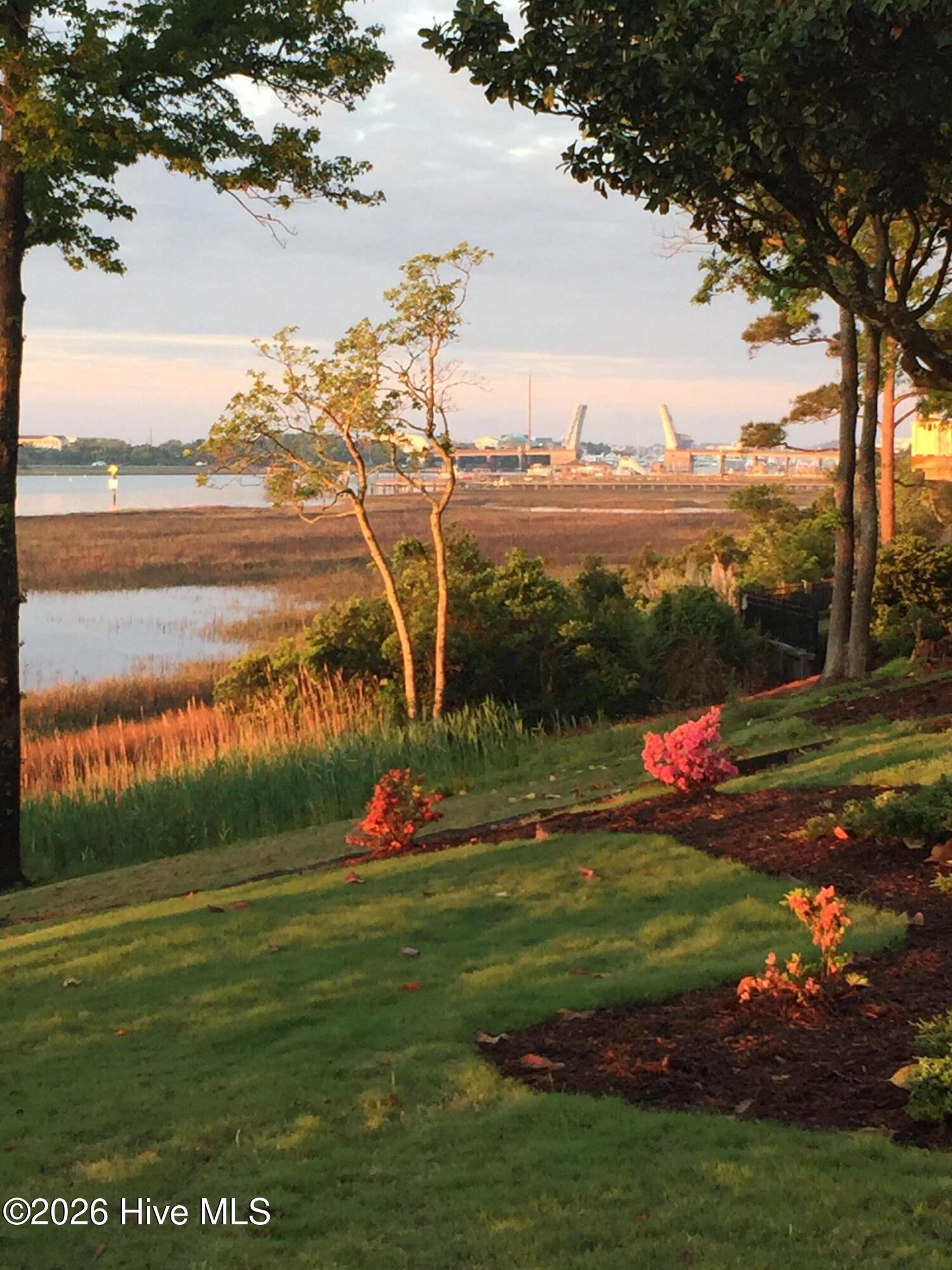 100567999 | Photo 61