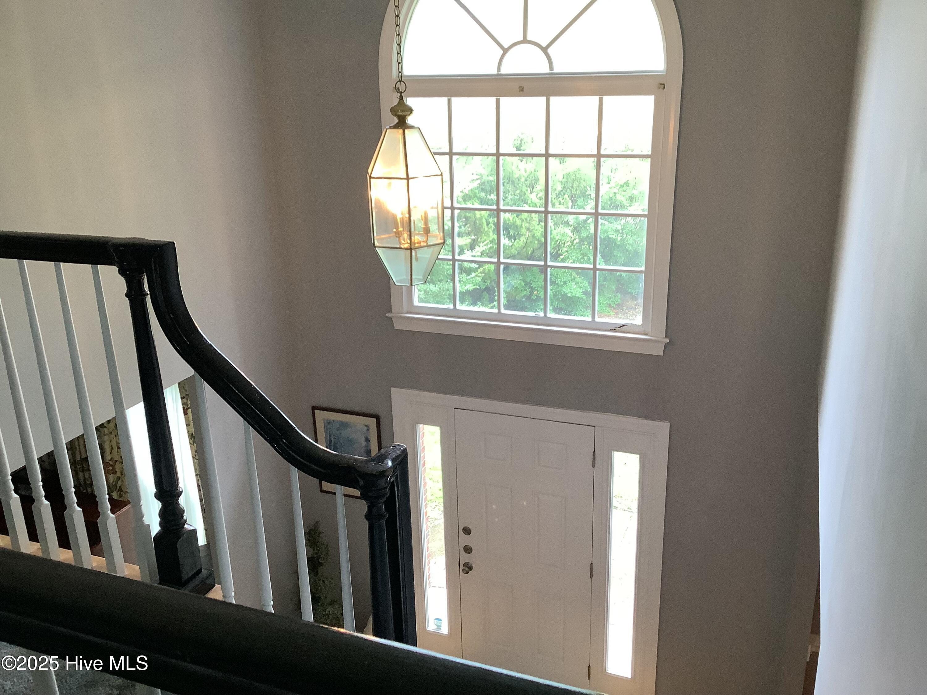 100524390 | Photo 24