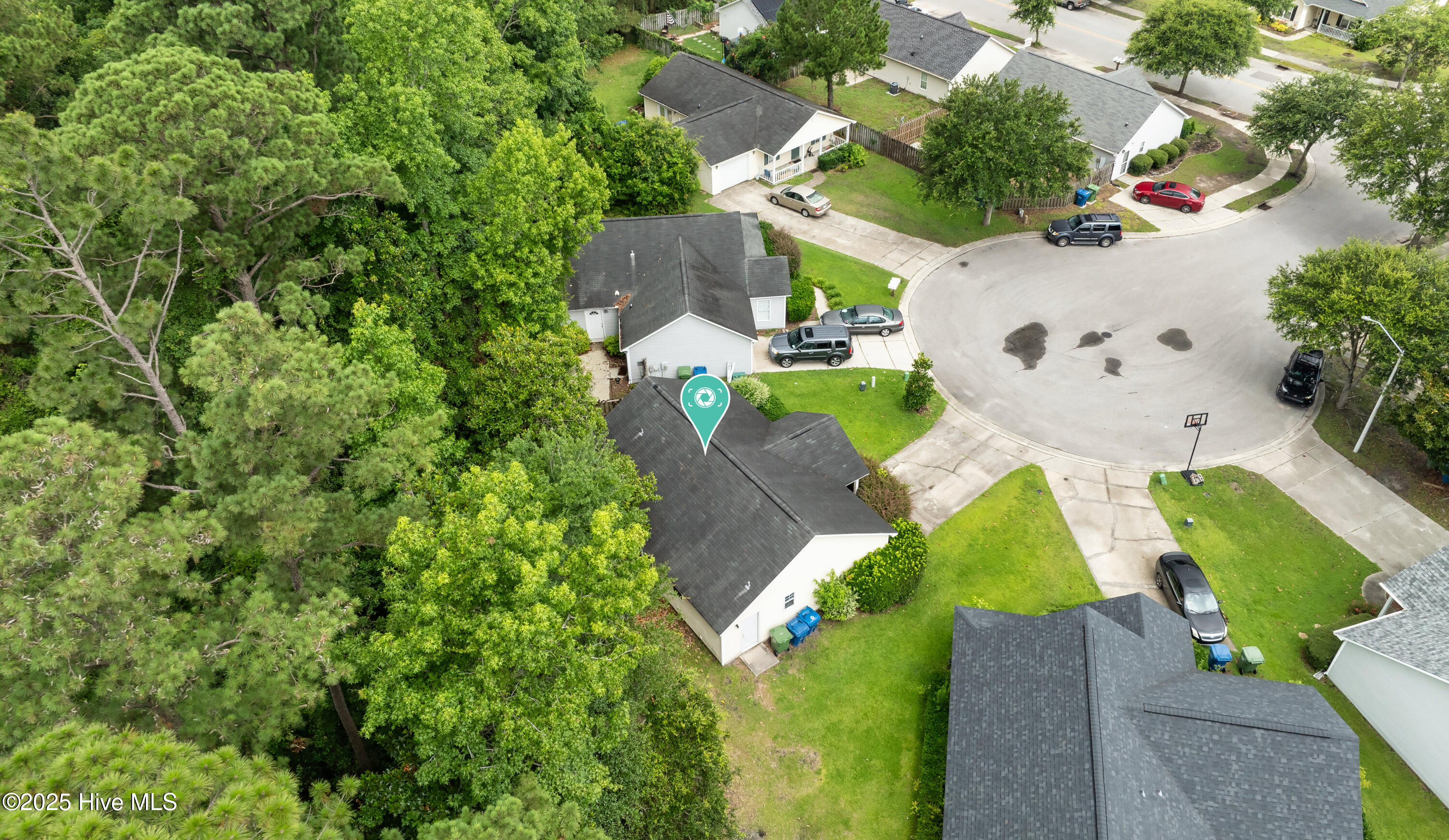 100517859 | Photo 33