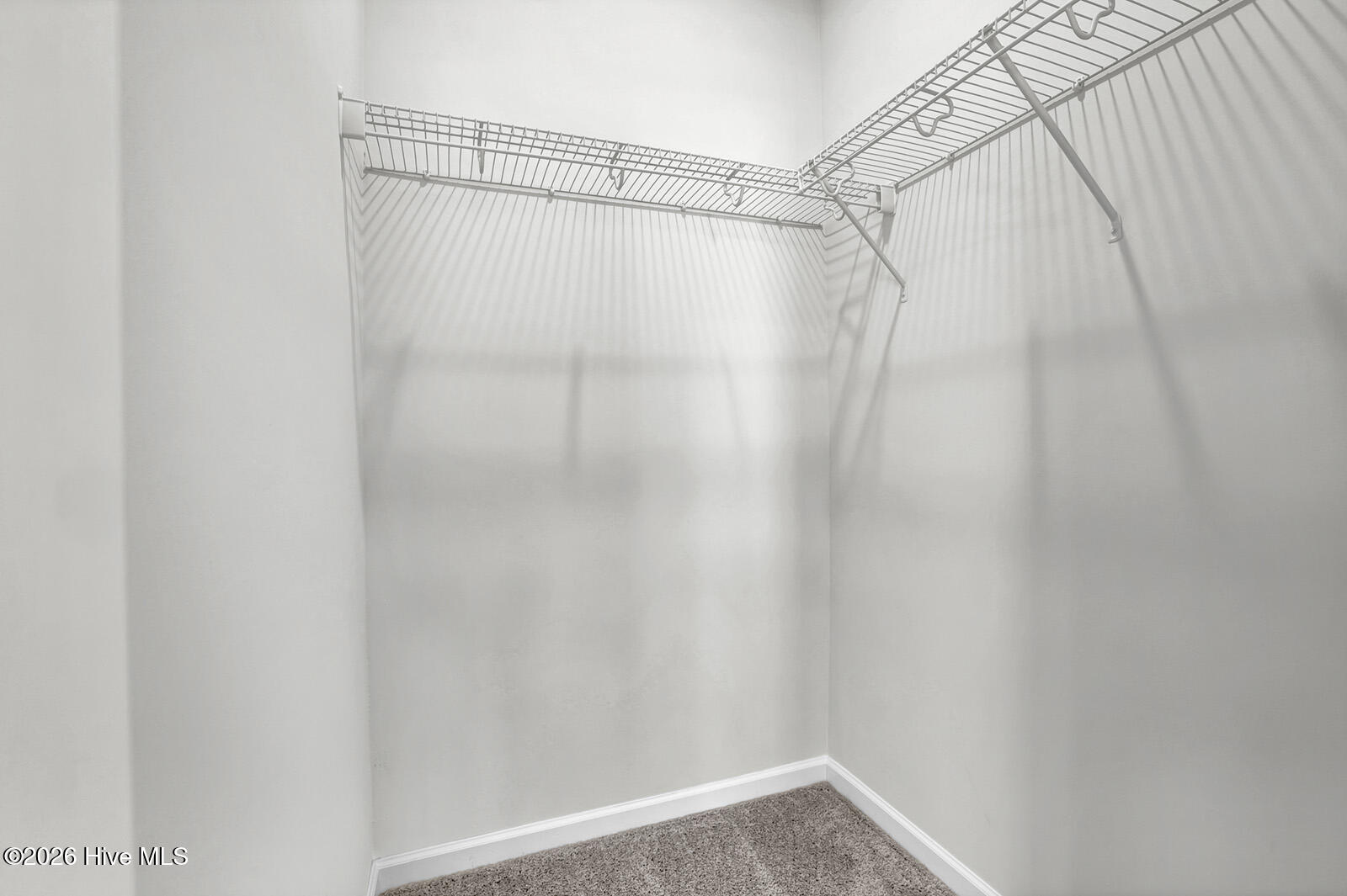 100550125 | Photo 18