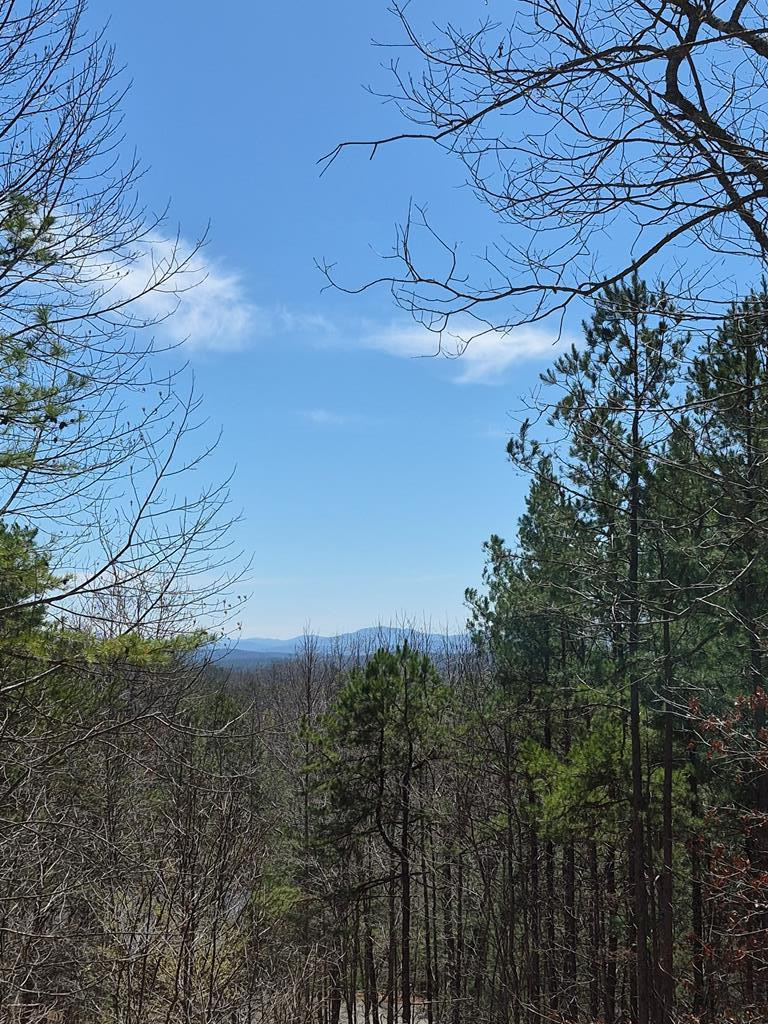 88 Meadowlark Terrace, Murphy, NC 28906 Listing Photo  12