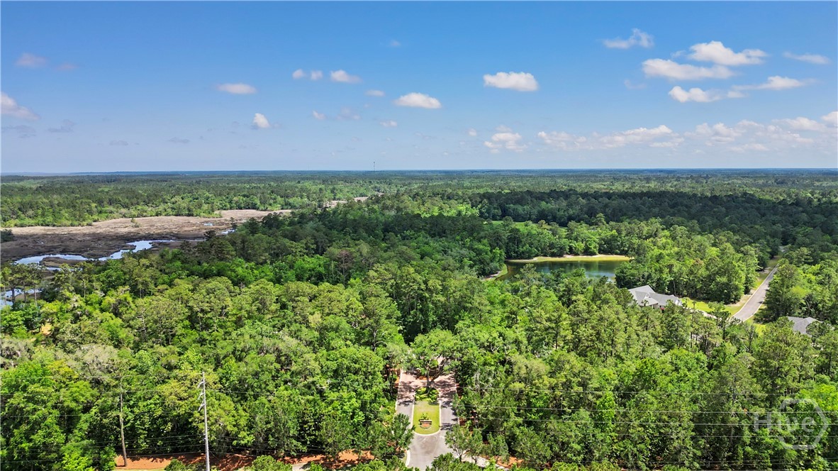 Berrie Bluffs Waverly GA Golden Isles Kimi Pelletier Real Estate