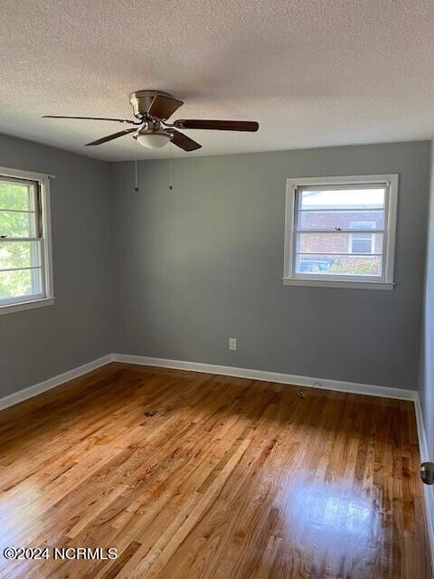 100533796 | Photo 36