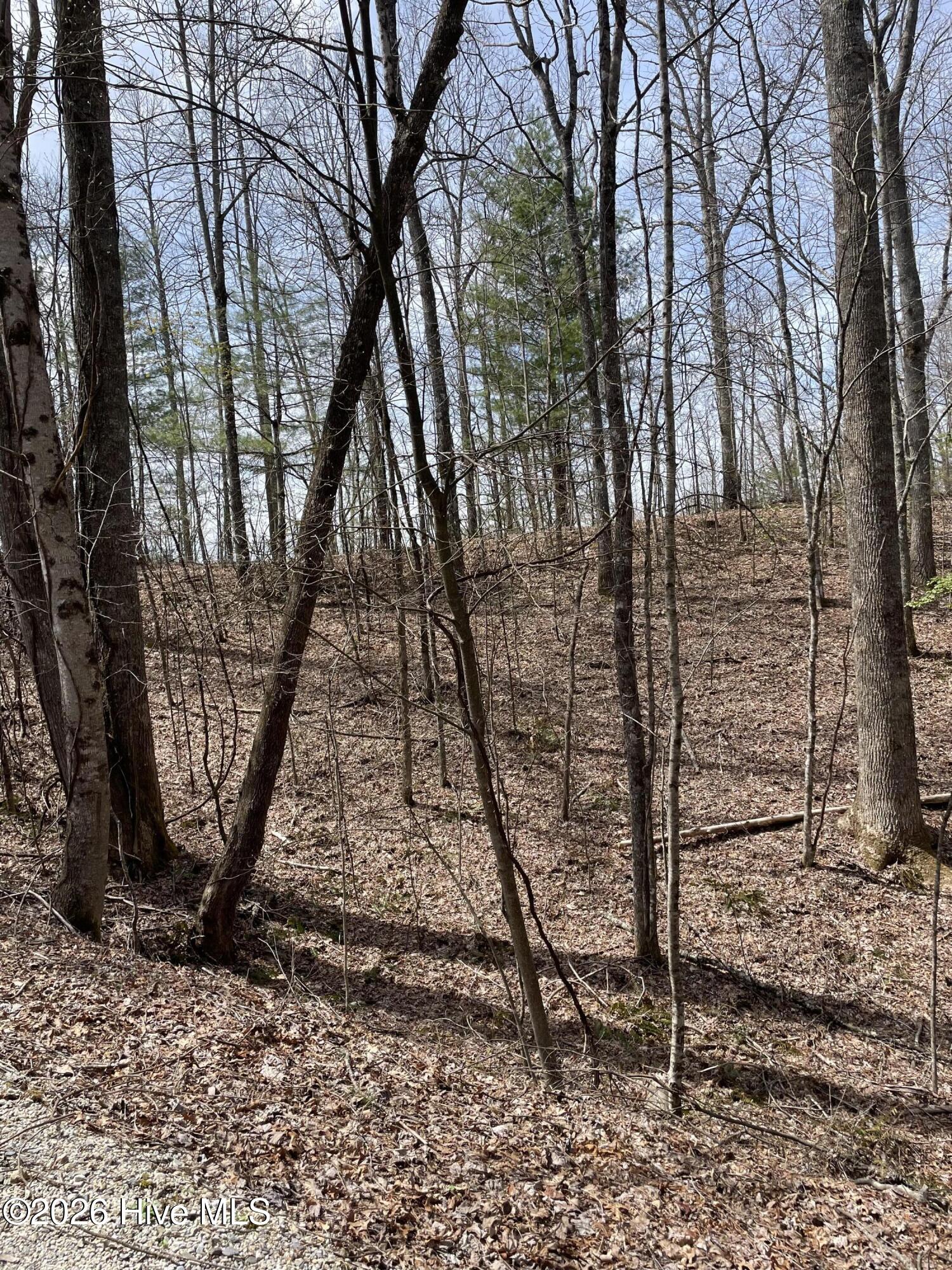 4th image of 11A 11B Hidden Lakes Rd, Topton, NC 28781 | MLS# 100597991