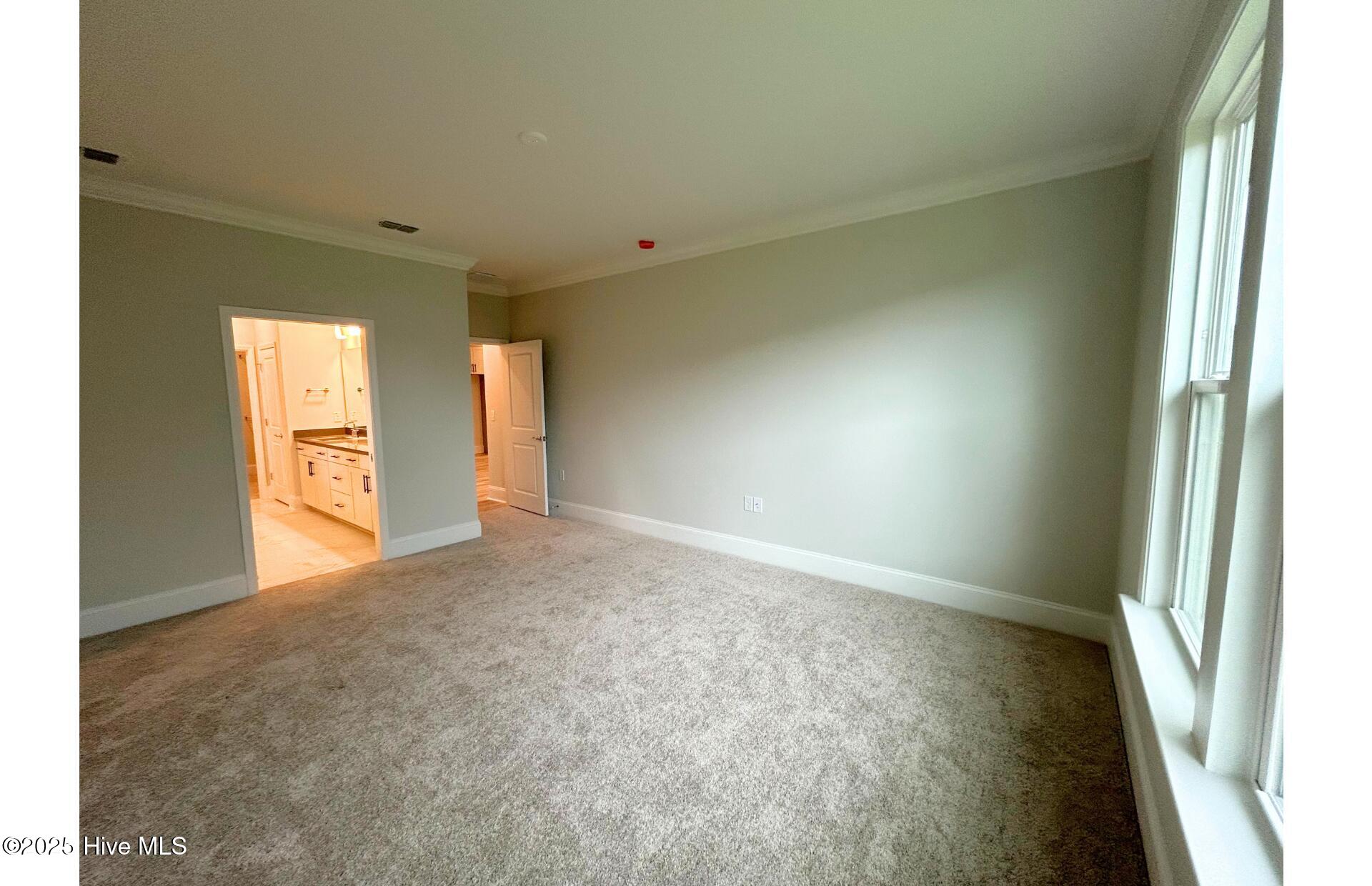 100502928 | Photo 13