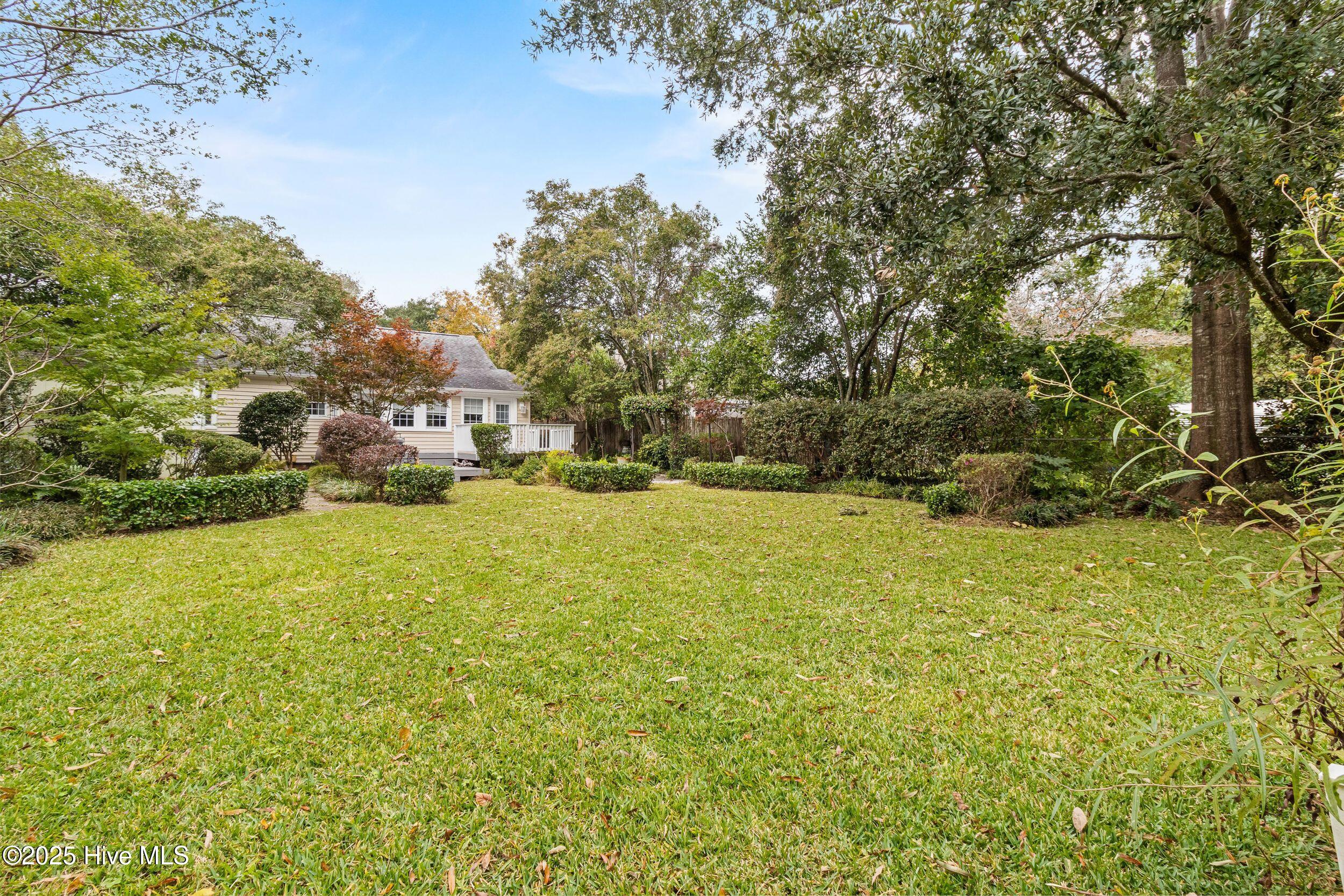 100538519 | Photo 29