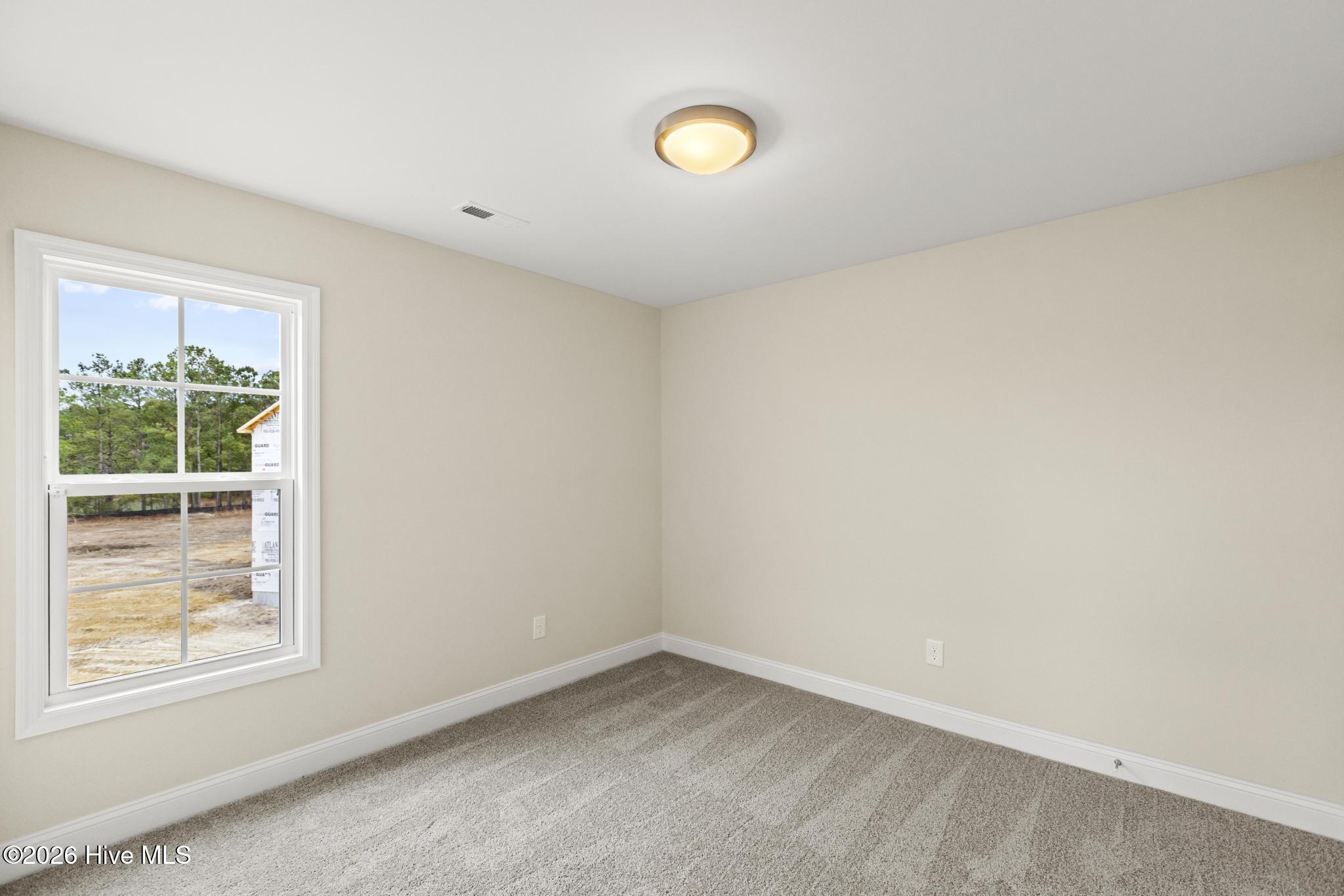 100516186 | Photo 24