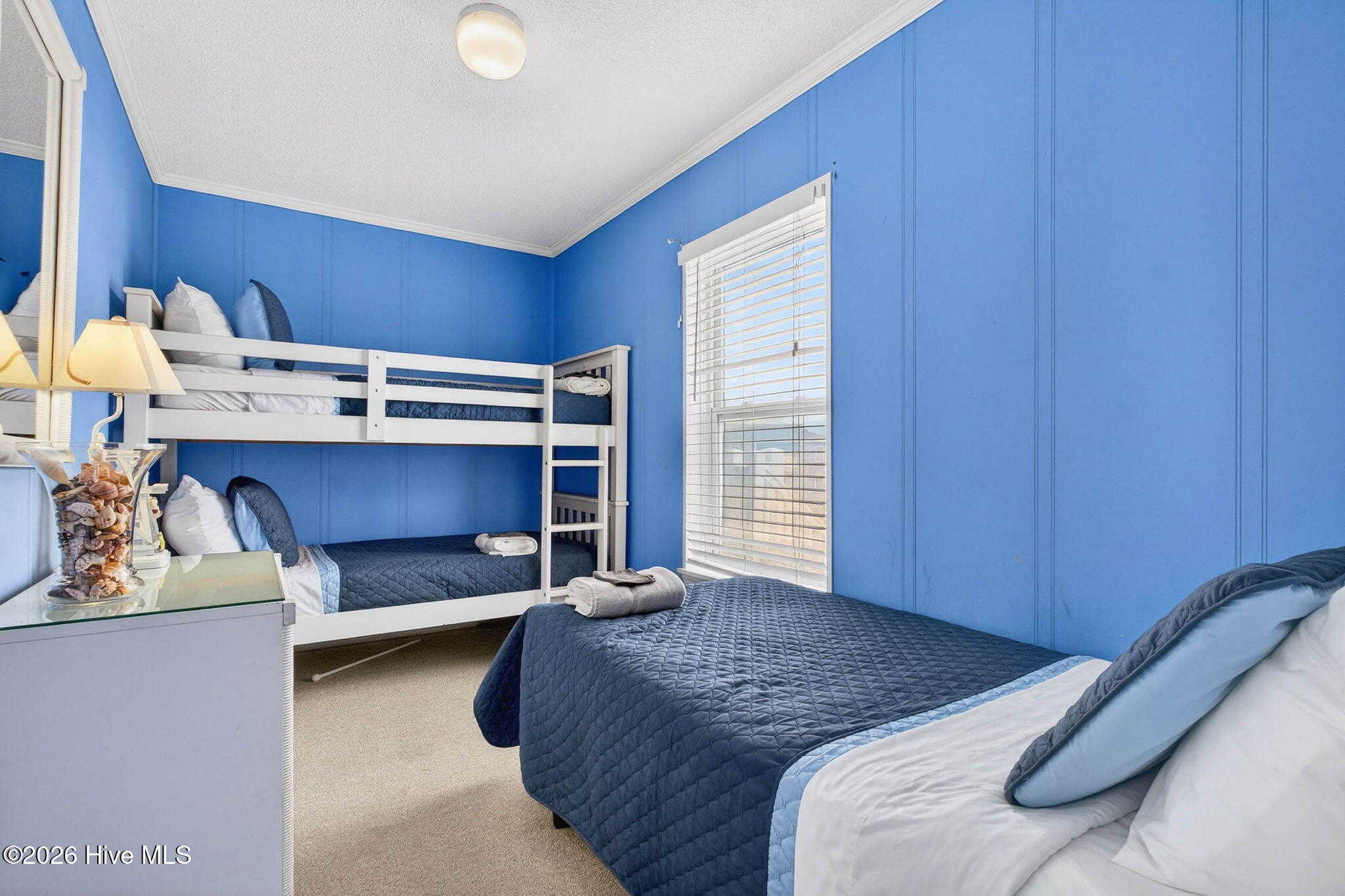 100568537 | Photo 17