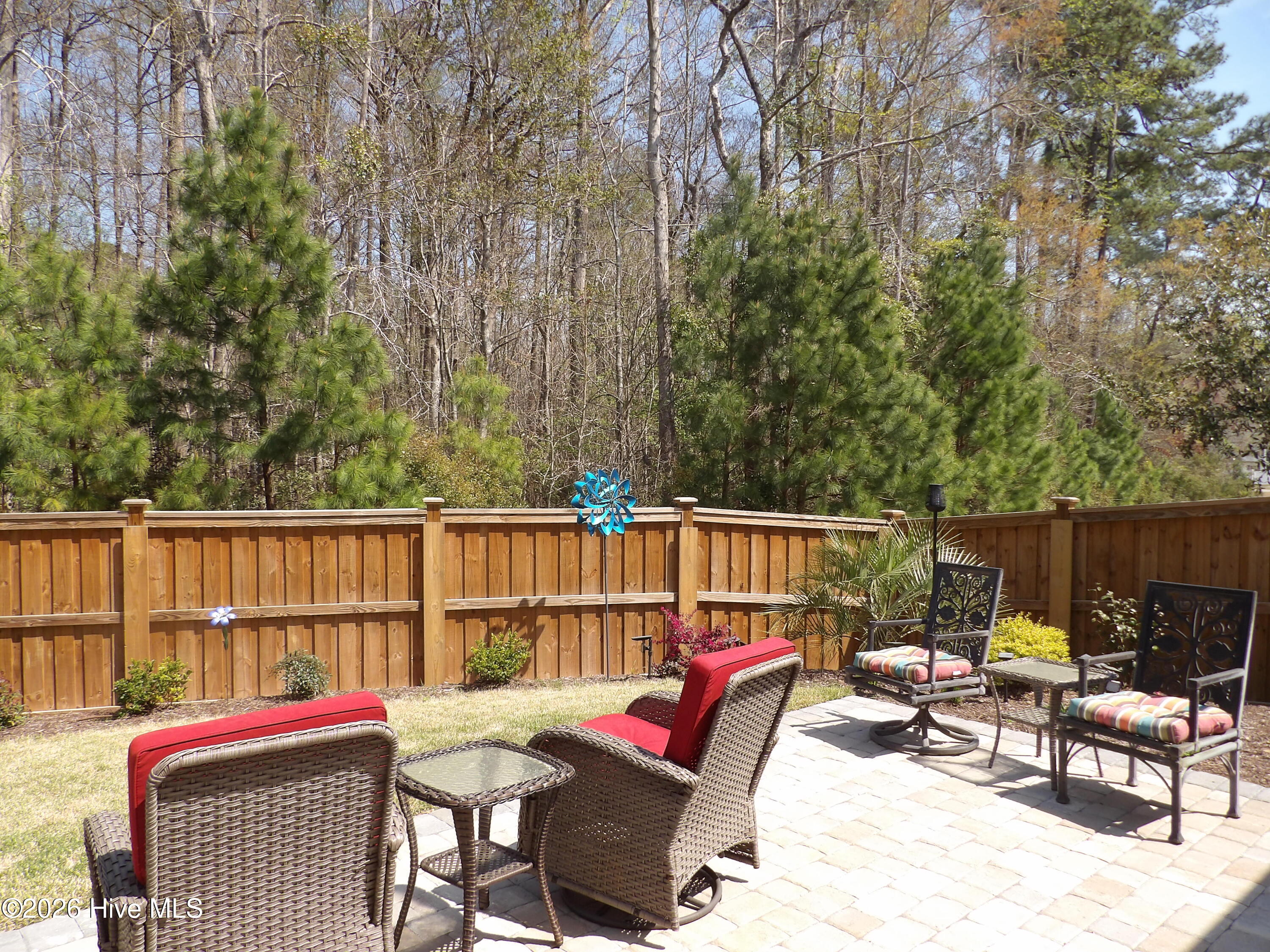 100561891 | Photo 57