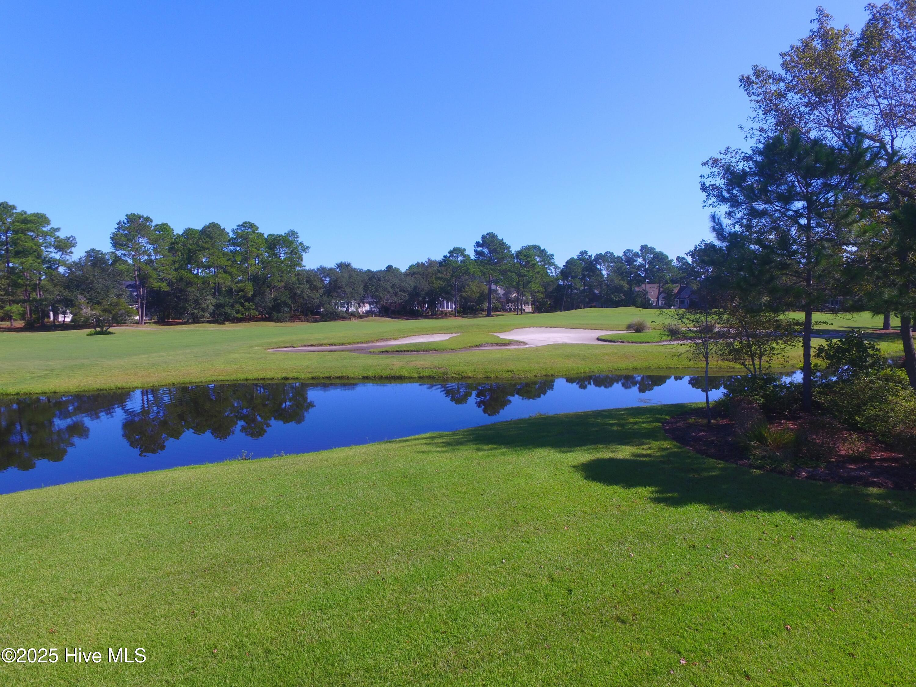 100518411 | Photo 68