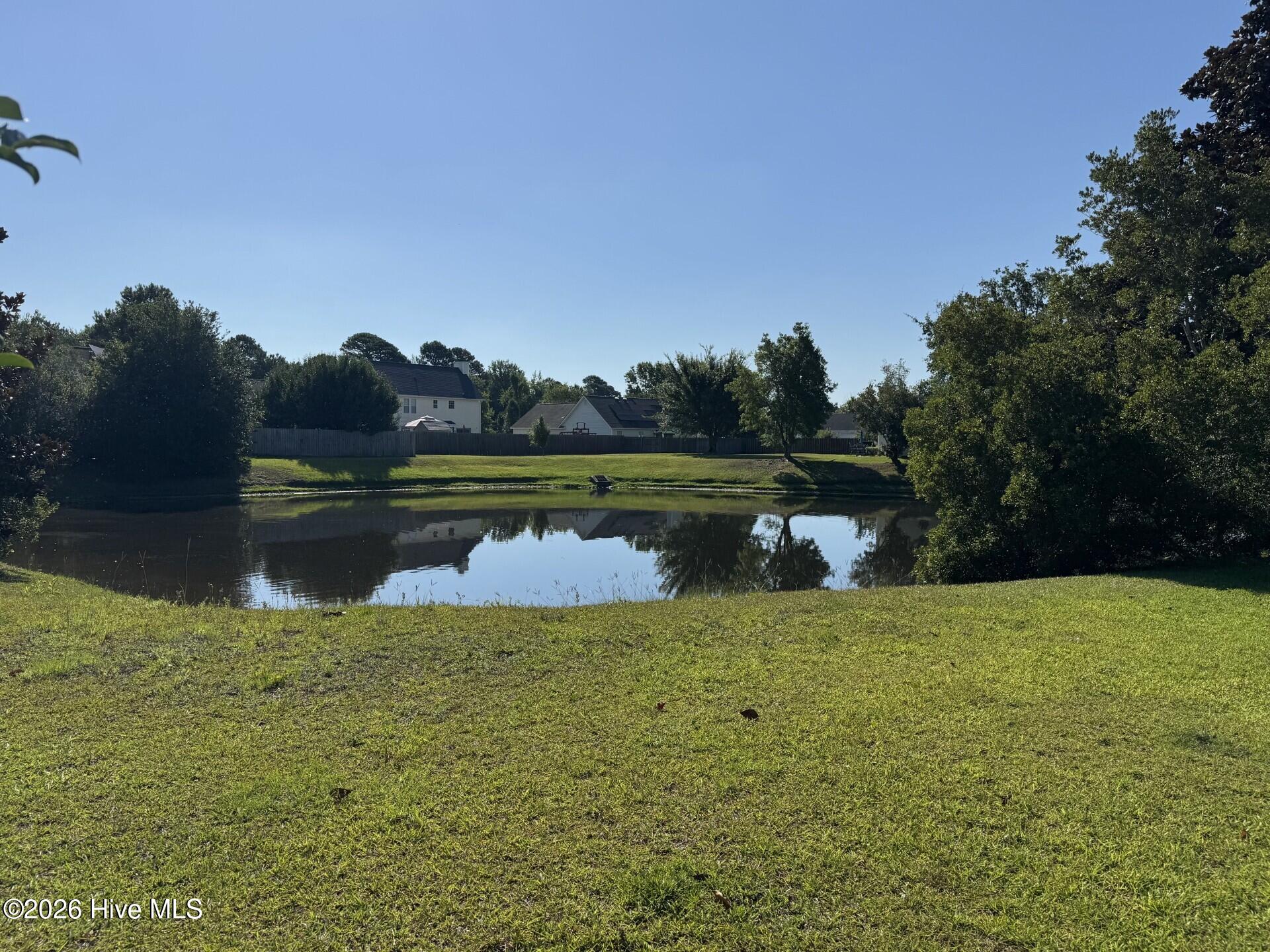 Pond