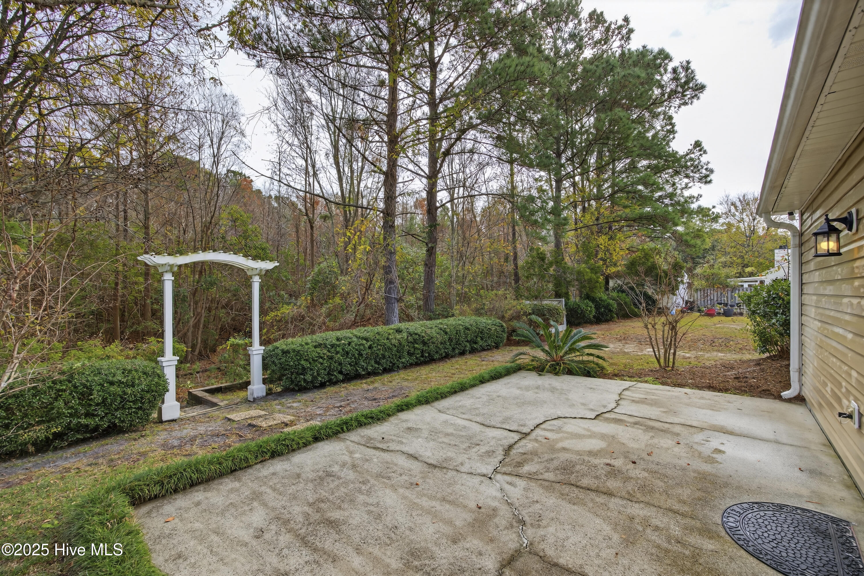 100543096 | Photo 22